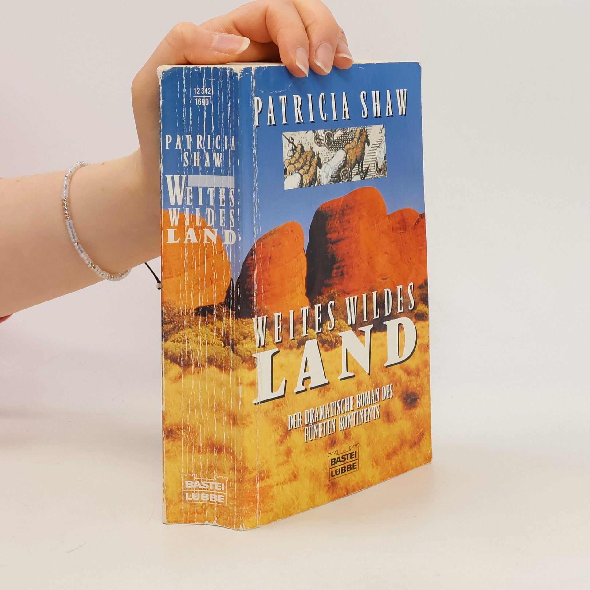 Patricia Shaw Weites wildes Land