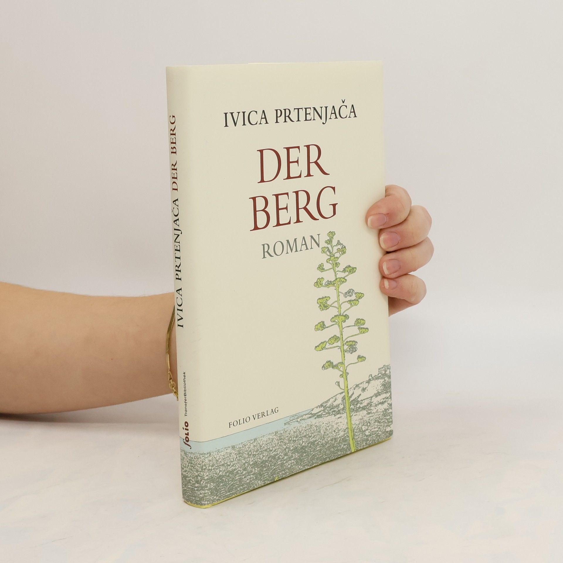 Ivica Prtenjaca Der Berg