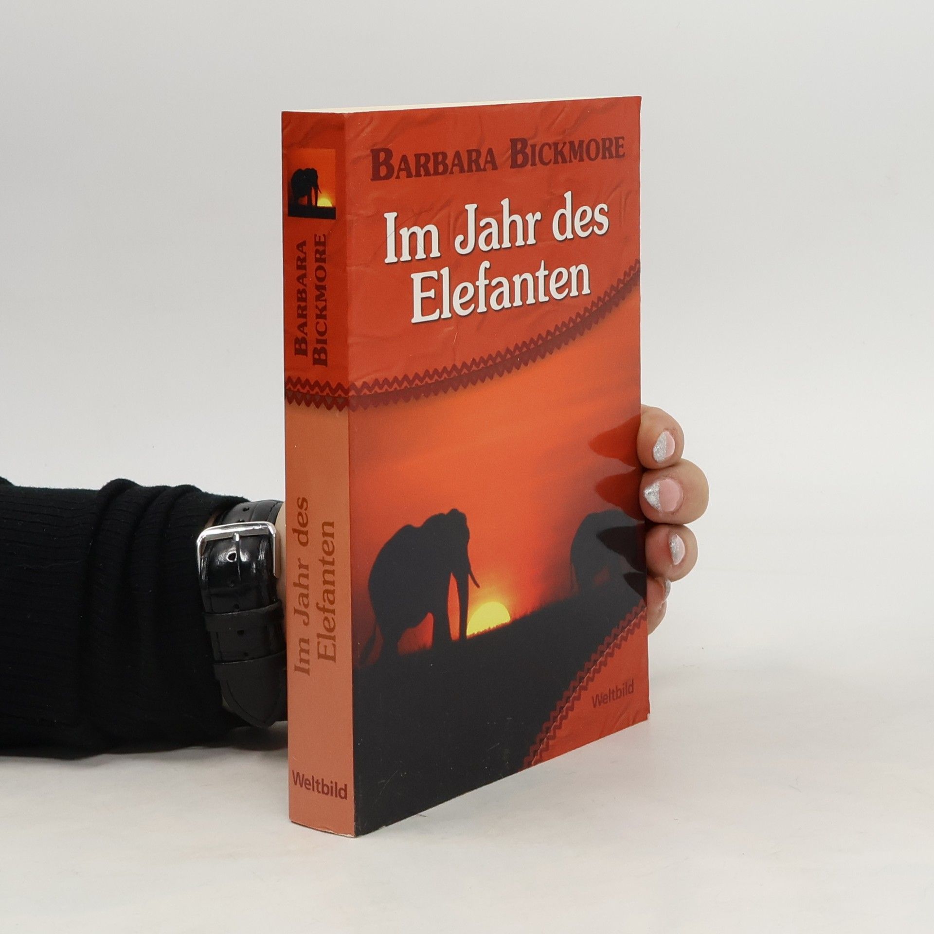Barbara Bickmore Im Jahr des Elefanten