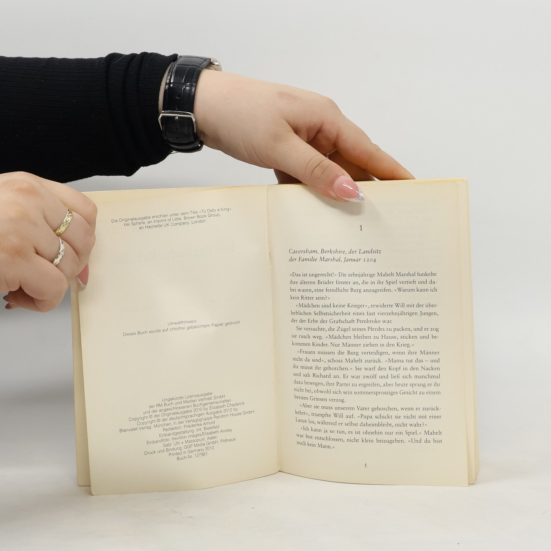 Elizabeth Chadwick Die englische Rebellin