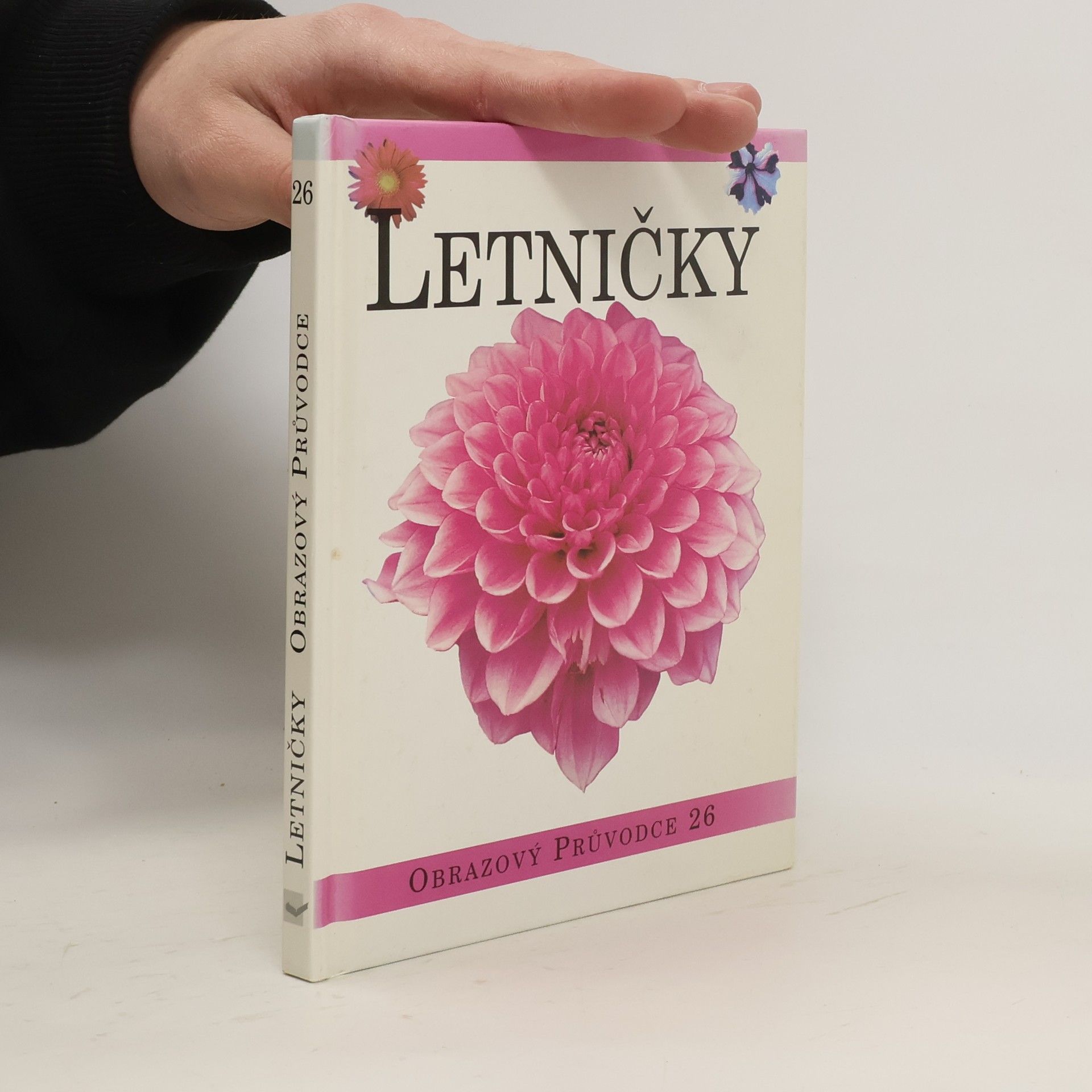 kolektiv Letničky
