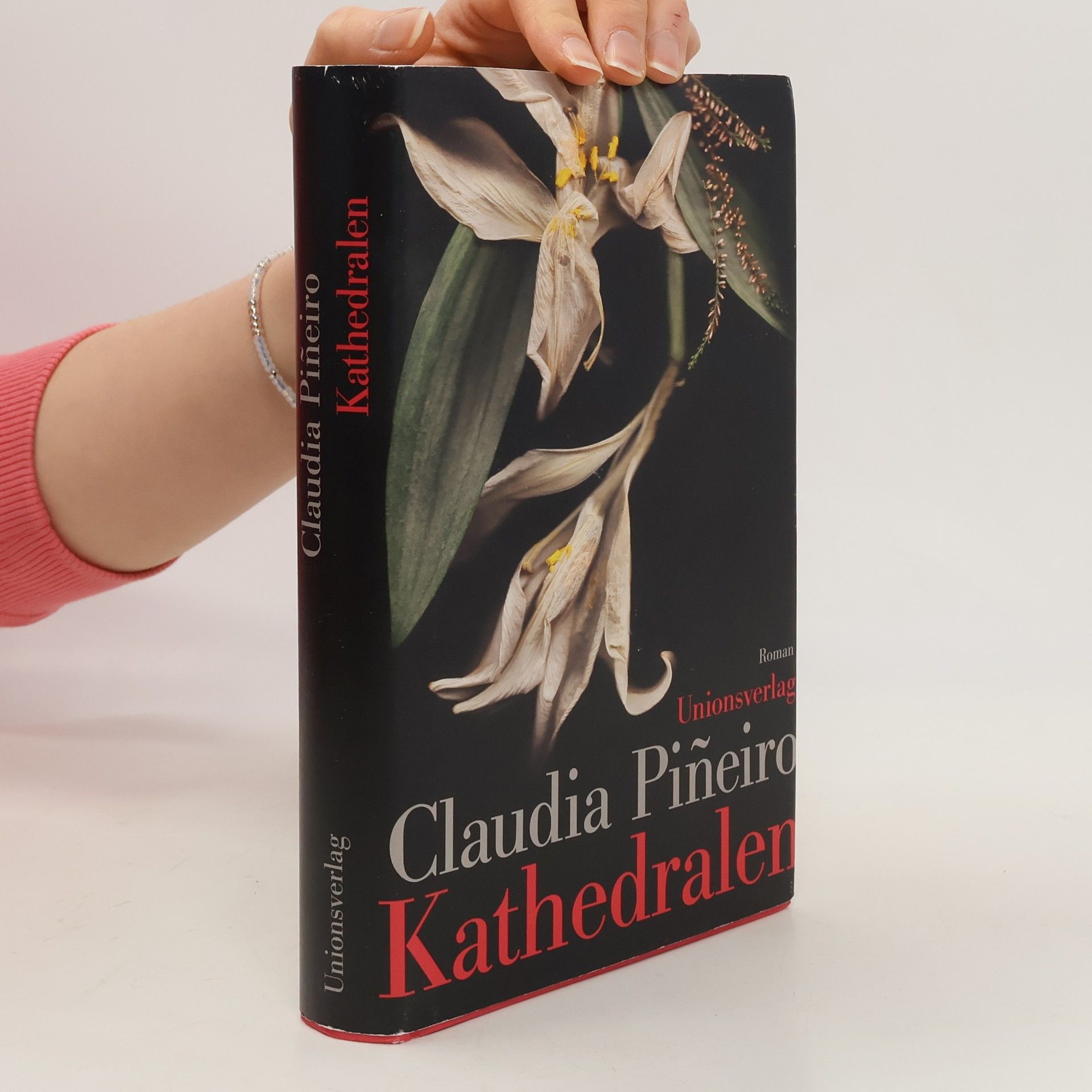 Claudia Piñeiro Kathedralen