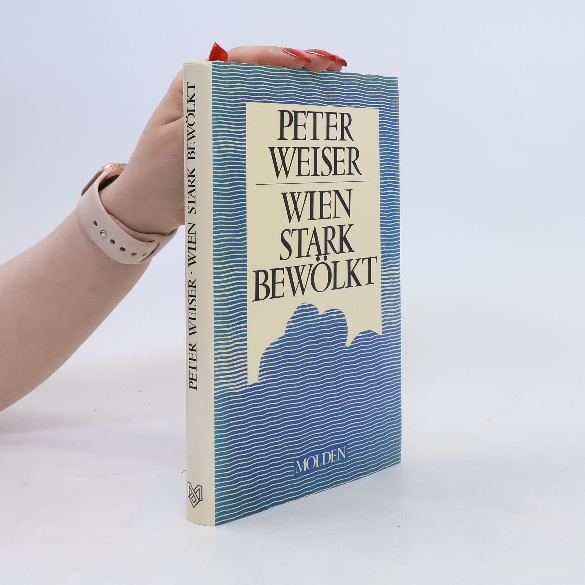 Peter Weiser Wien stark bewölkt