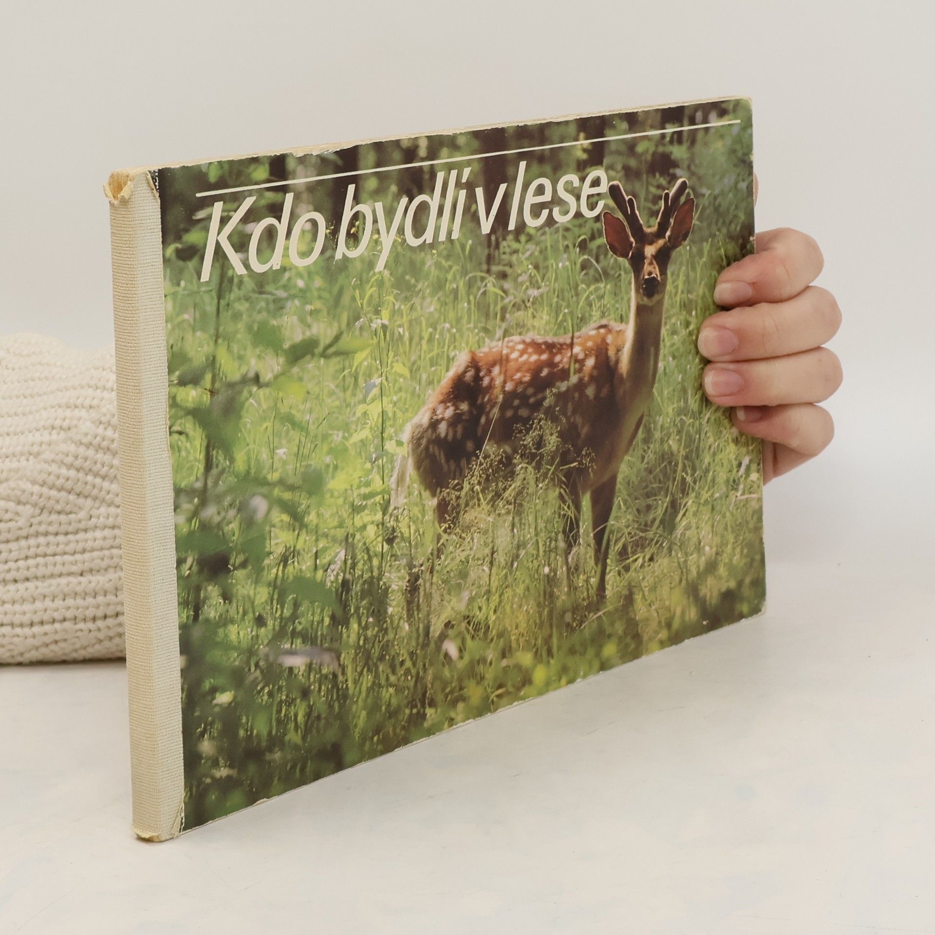 Zdeno Vlach Kdo bydlí v lese