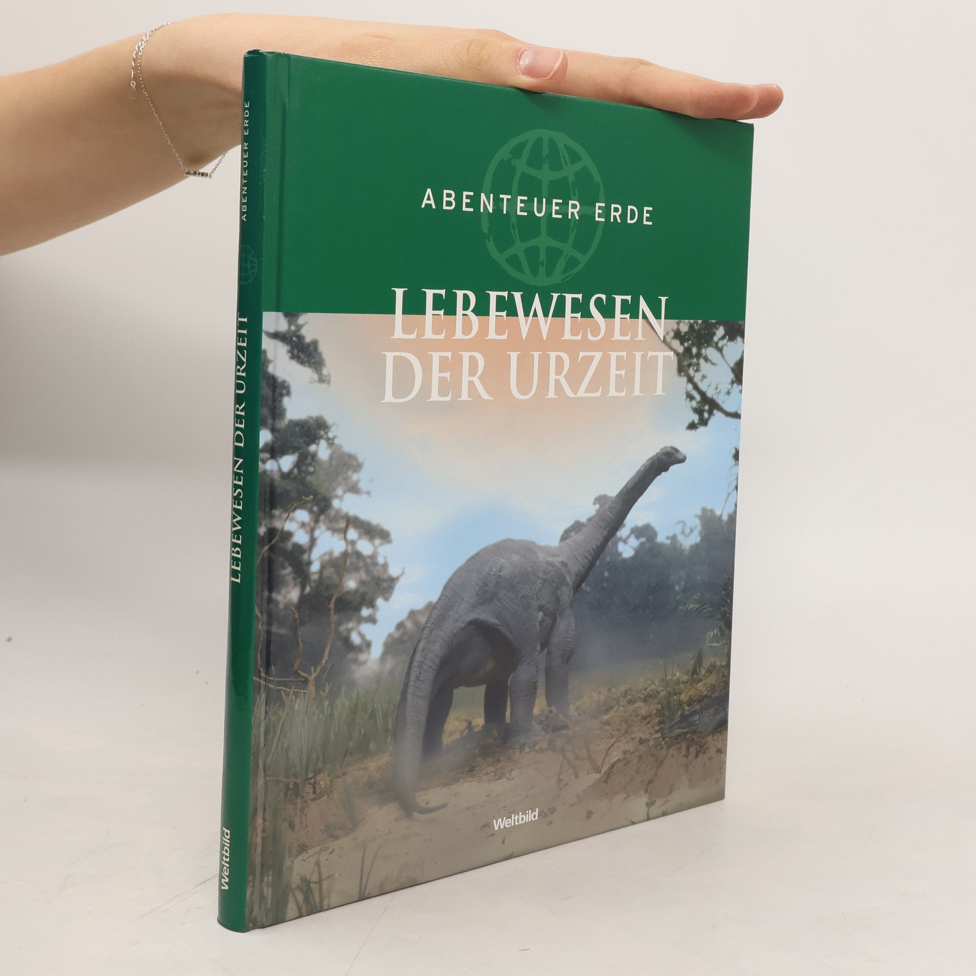 Autorenkollektiv Lebewesen der Urzeit