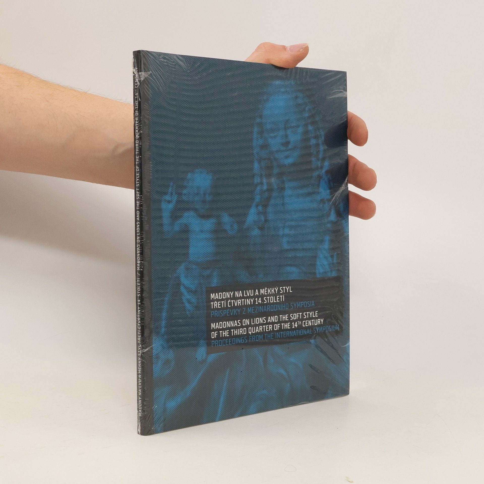 Kolektív autorov Madony na lvu a měkký styl třetí čtvrtiny 14. století. Příspěvky z mezinárodního sympozia