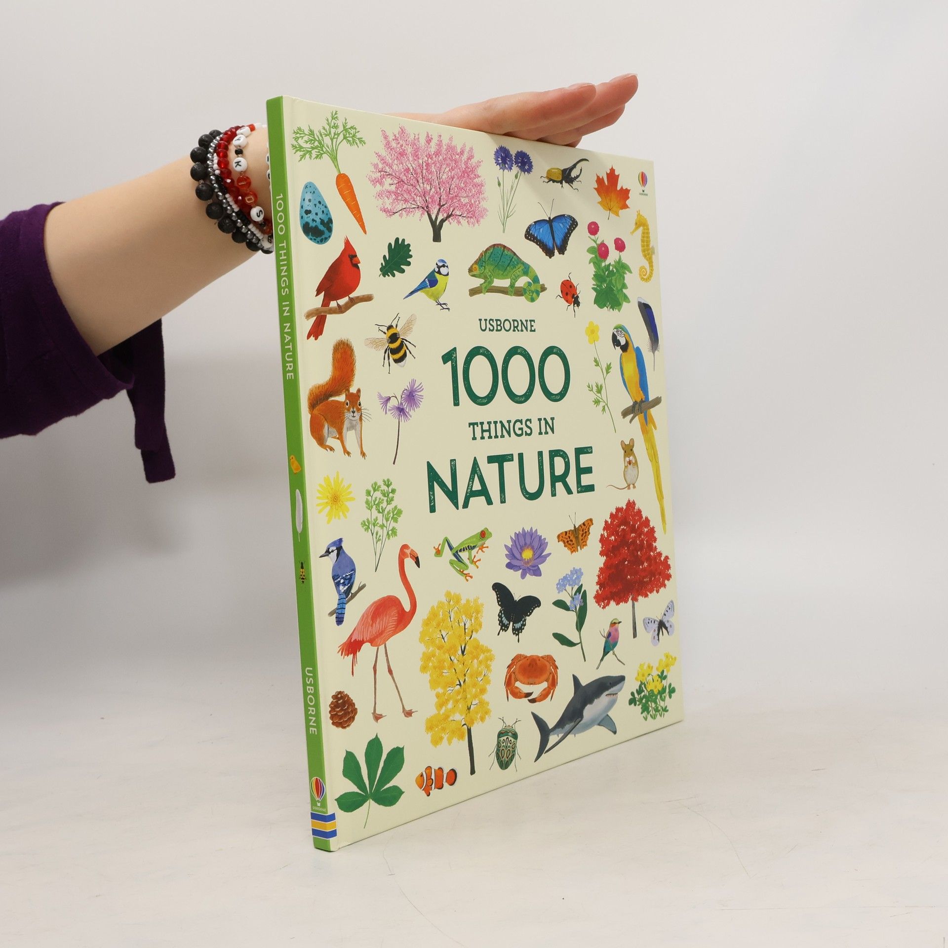 Hannah Watson 1000 Things in Nature