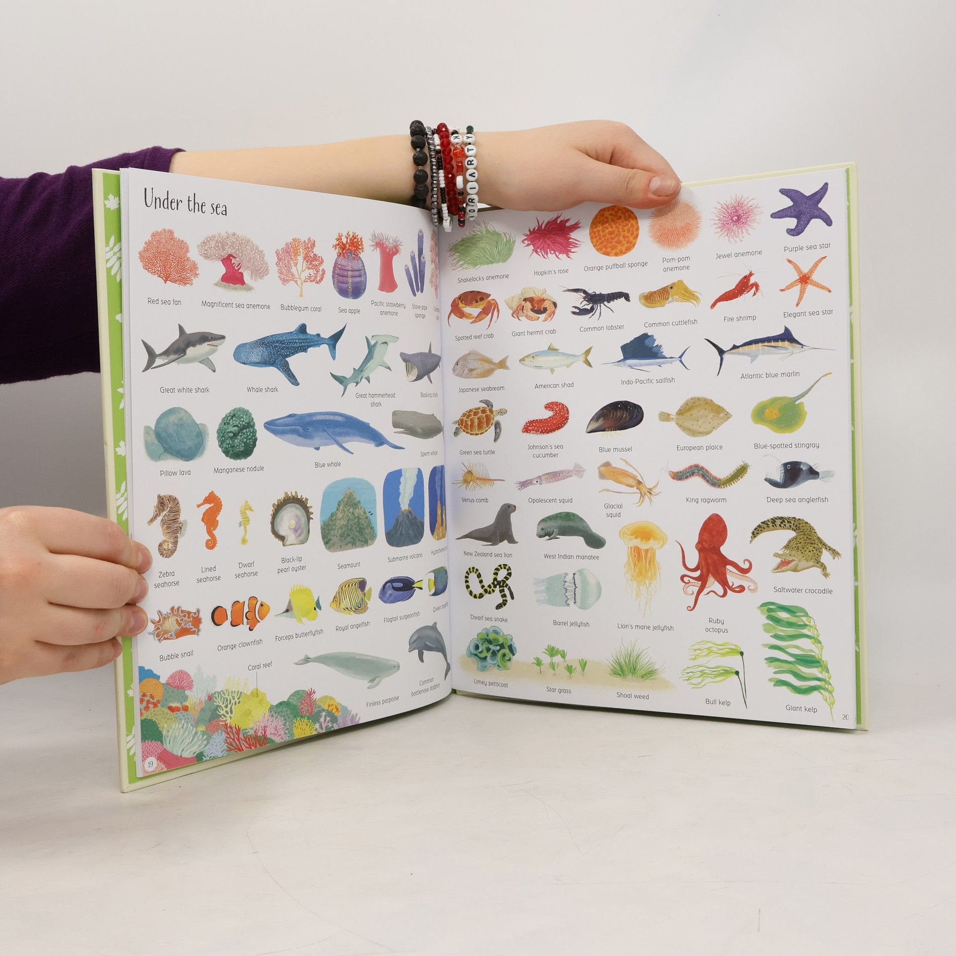 Hannah Watson 1000 Things in Nature