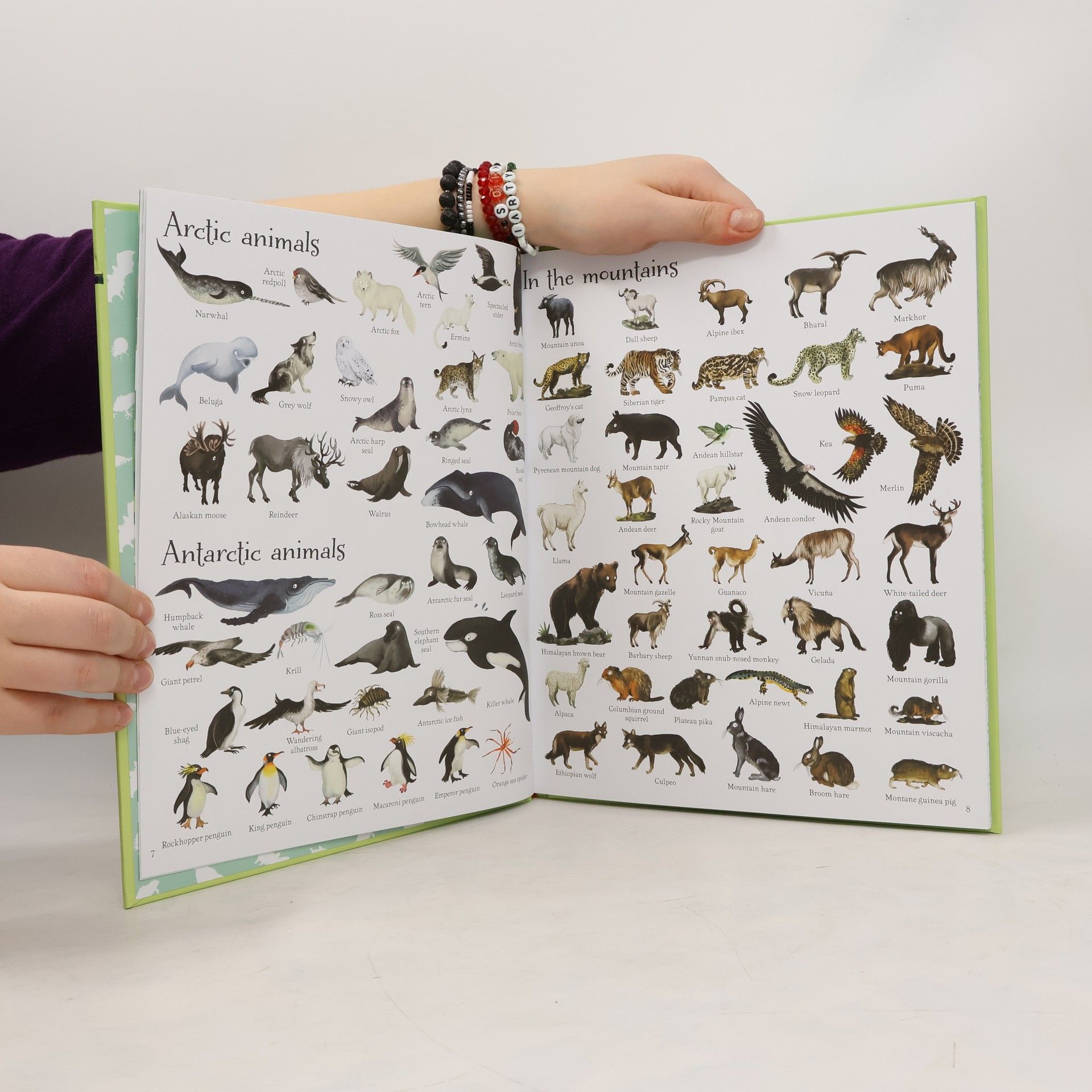 Jessica Greenwell 1000 Animals
