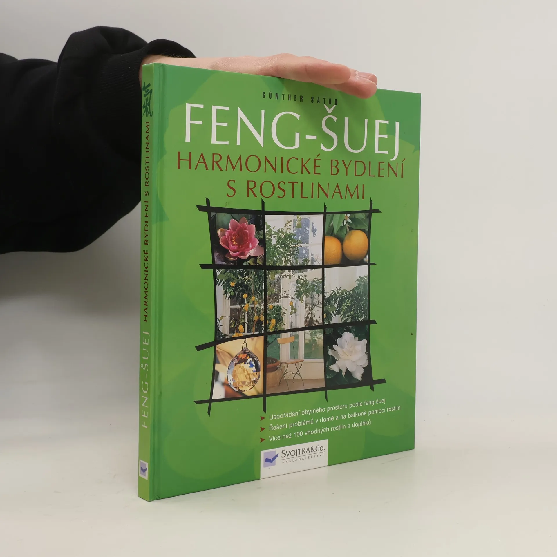 Feng-šuej. Harmonické bydlení s rostlinami | Kniha | Günther Sator | CS