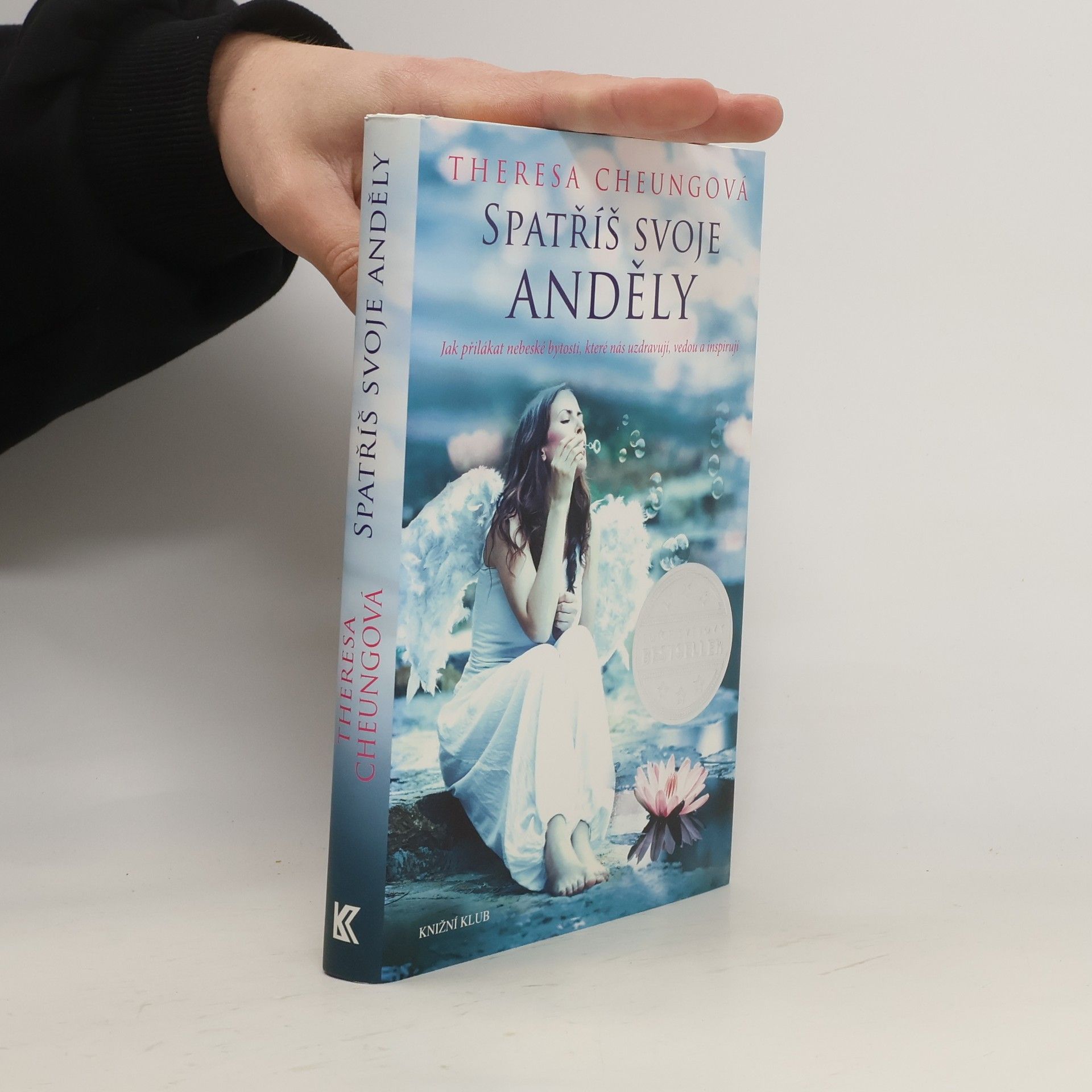 Theresa Francis-Cheung Spatříš svoje anděly. Jak přilákat nebeské bytosti, které nás uzdravují, vedou a inspirují