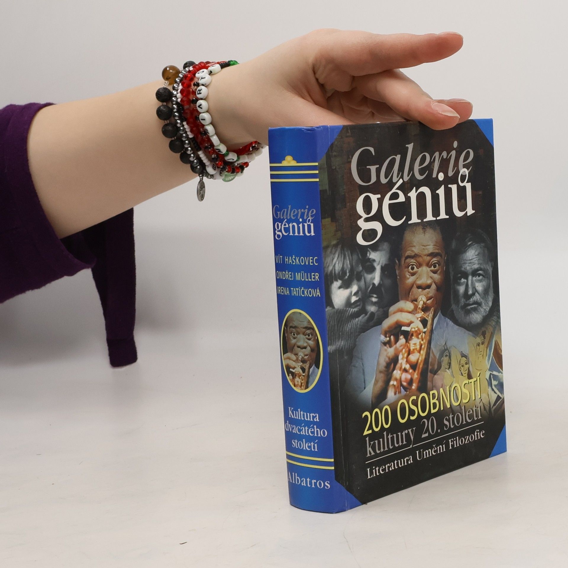 Vít Haškovec Galerie géniů, aneb, Kdo byl kdo