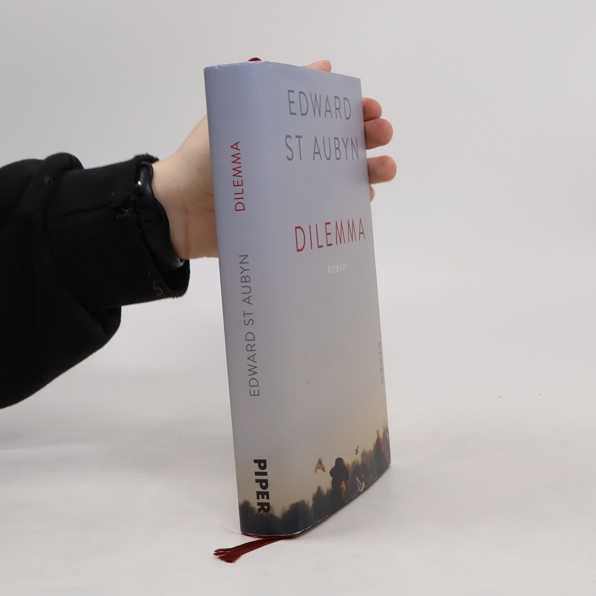 Edward St Aubyn Dilemma