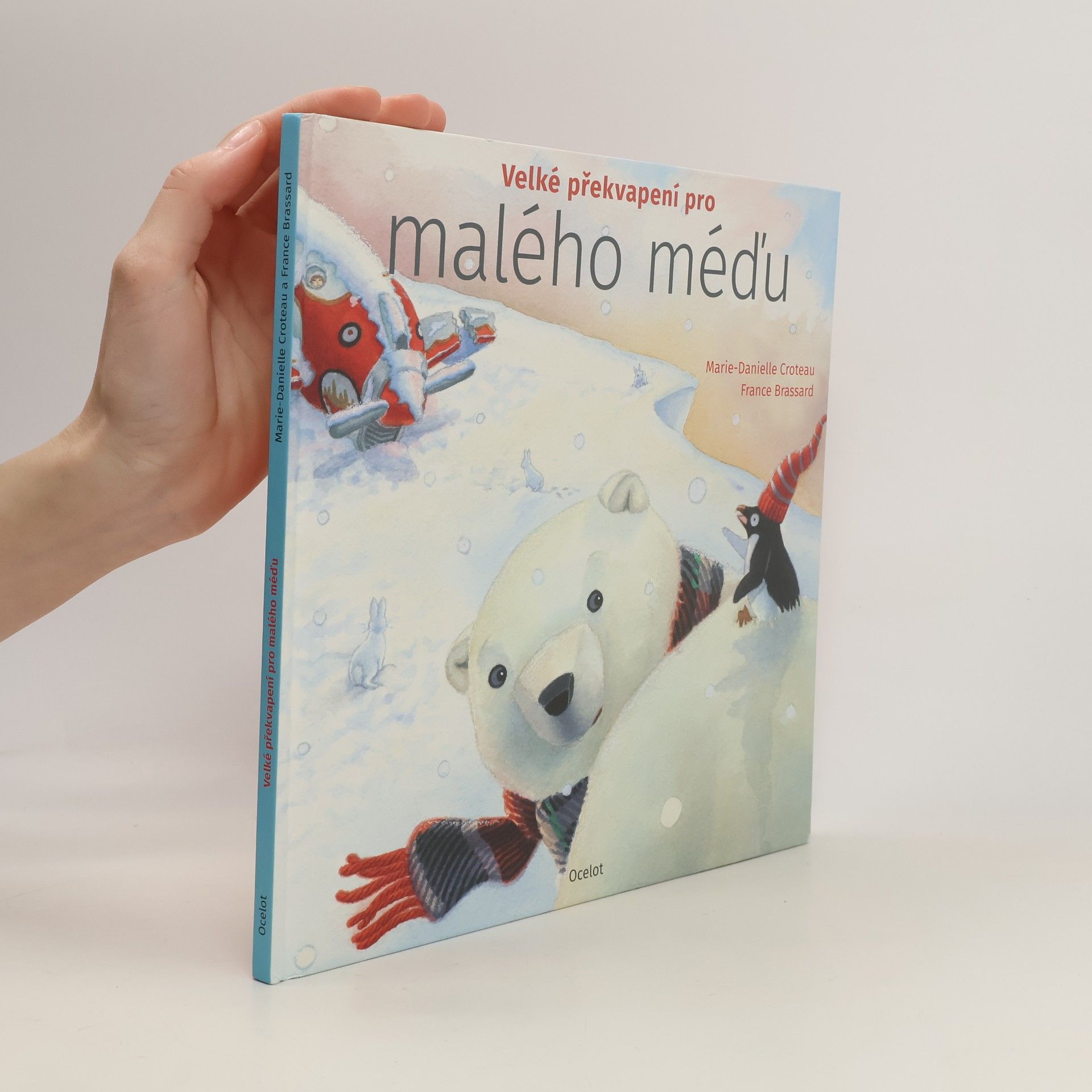 MarieDanielle Croteau Velké překvapení pro malého méďu