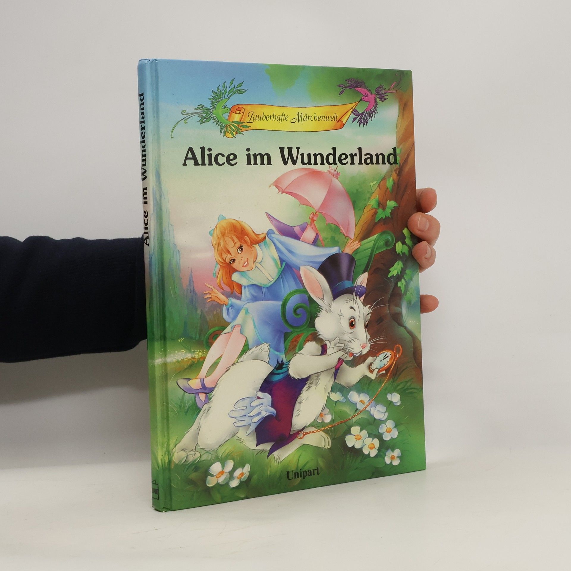kolektiv Alice im Wunderland