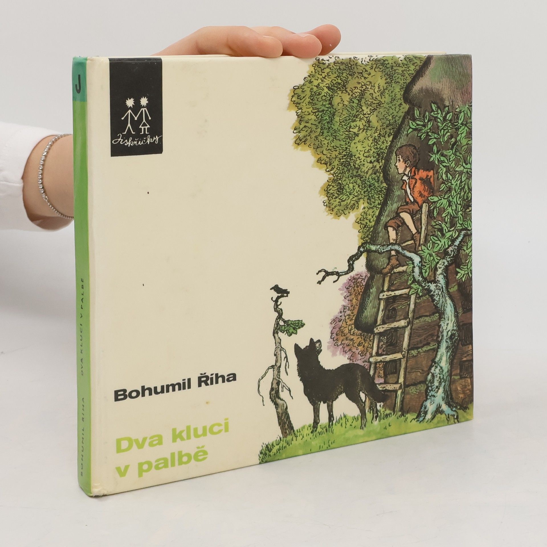 Bohumil Říha Dva kluci v palbě