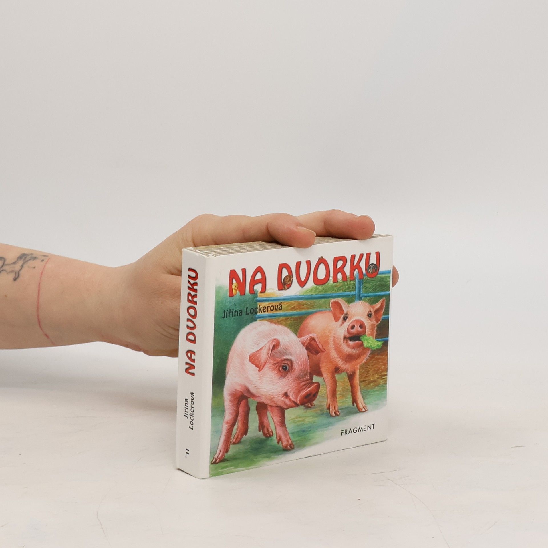 Autorenkollektiv Na dvorku