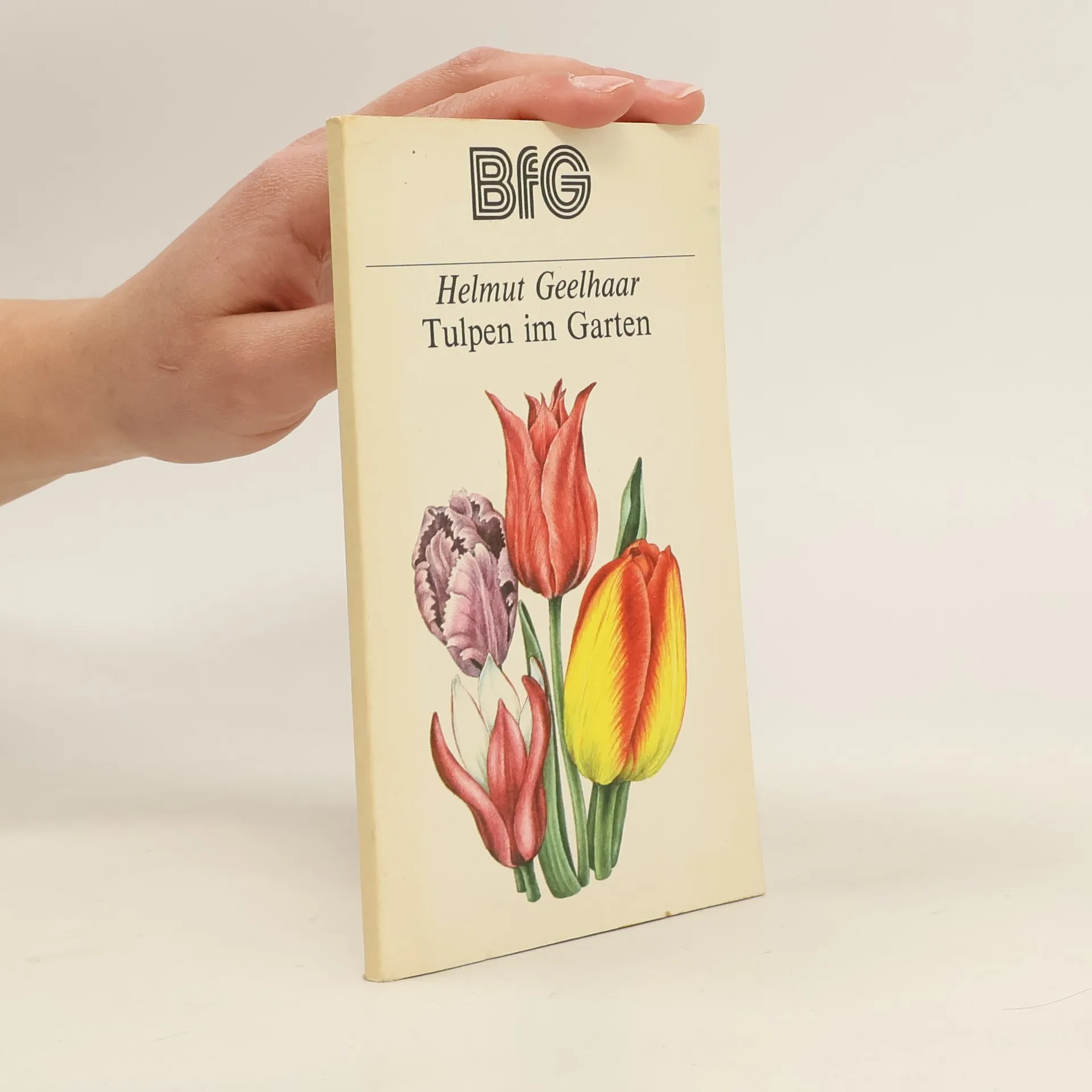 Tulpen im Garten | Book | Paperback | Helmut Geelhaar | DE
