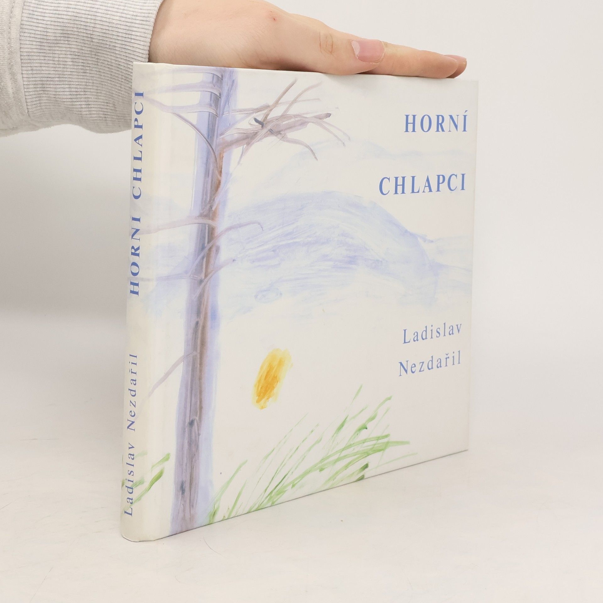 Ladislav Nezdařil Horní chlapci