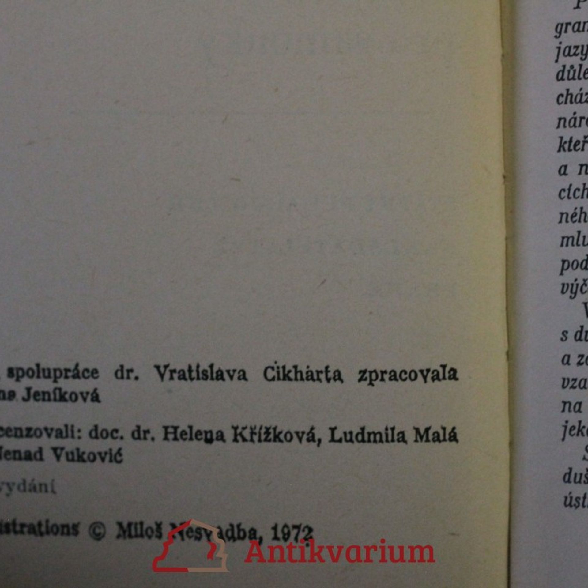 Anna Jeníková Srbochorvátština pro samouky