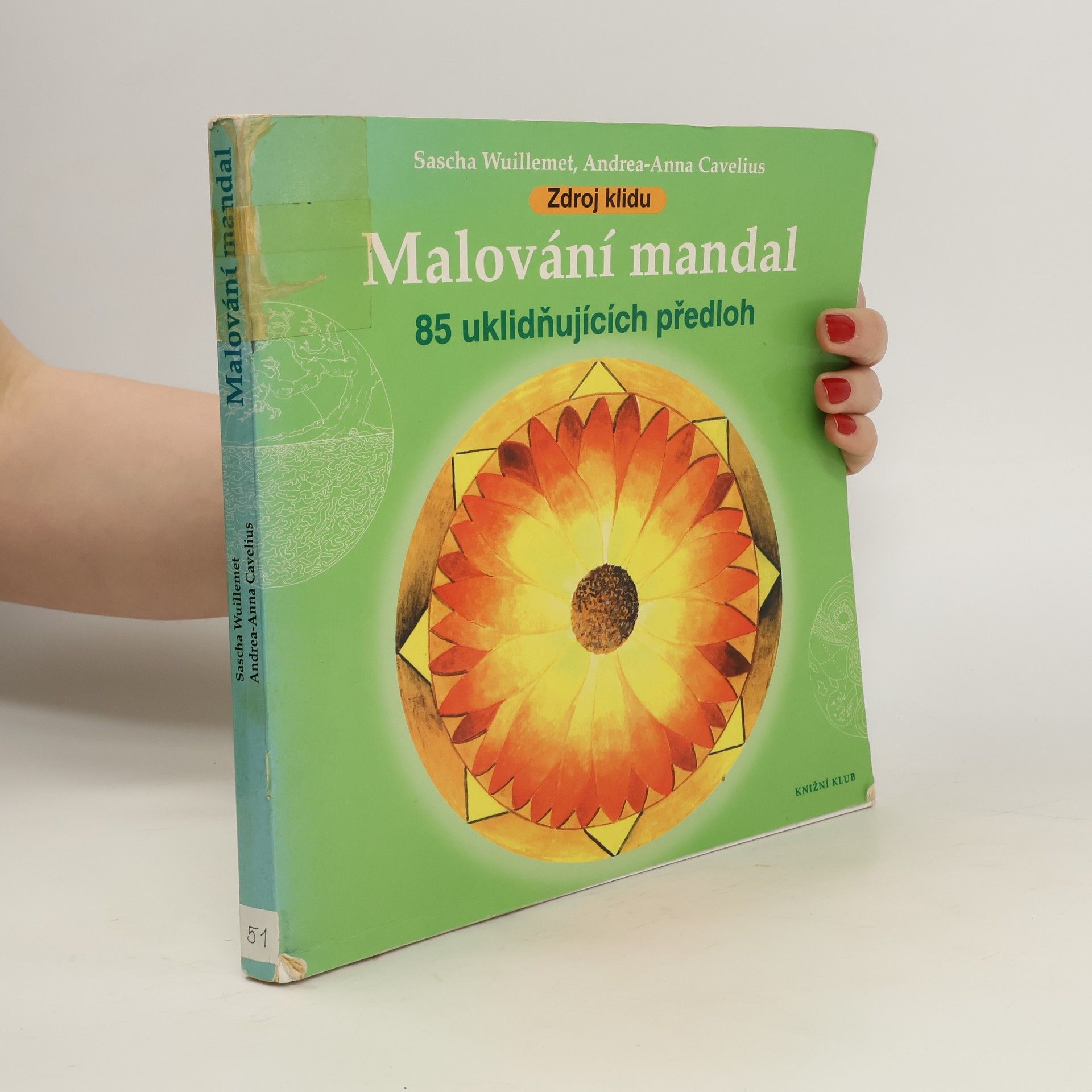 Sascha Wuillemet Malování mandal: Zdroj klidu : 85 uklidňujících předloh