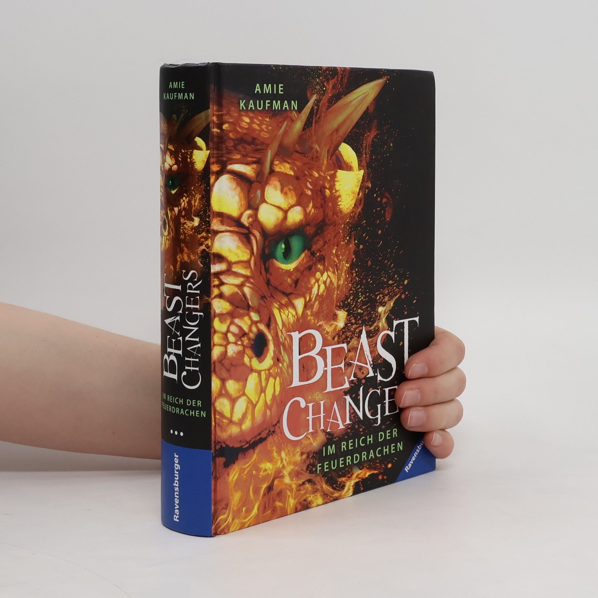 Amie Kaufman Beast Changers, Band 2: Im Reich der Feuerdrachen
