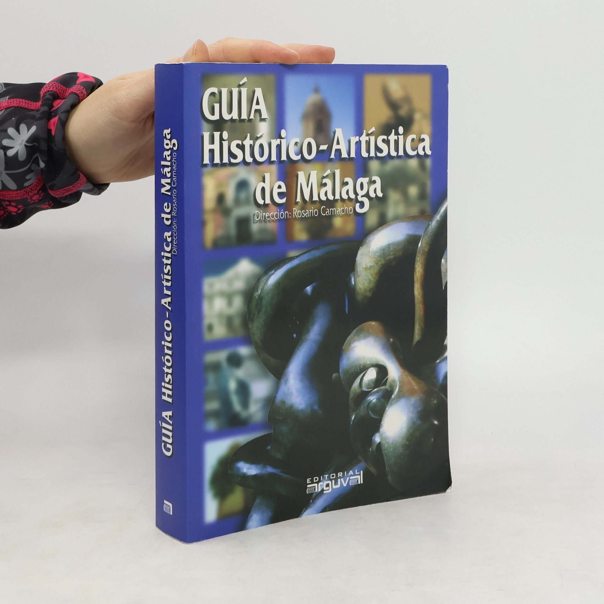 Rosario Camacho Martínez Guía histórico-artística de Málaga