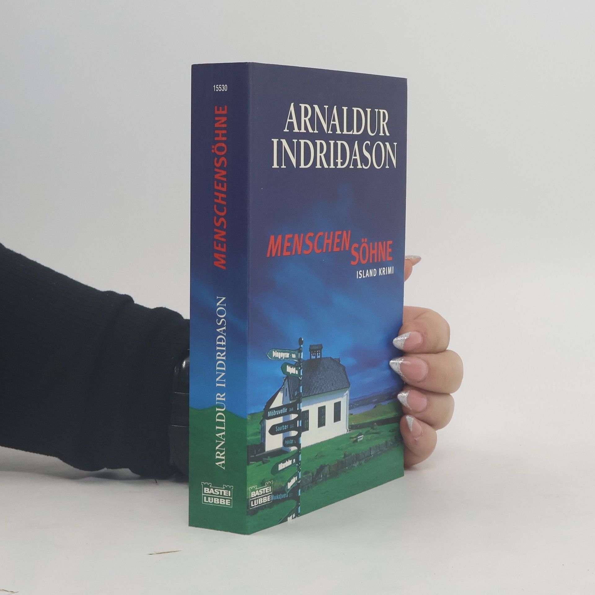Arnaldur Indriðason Menschensöhne