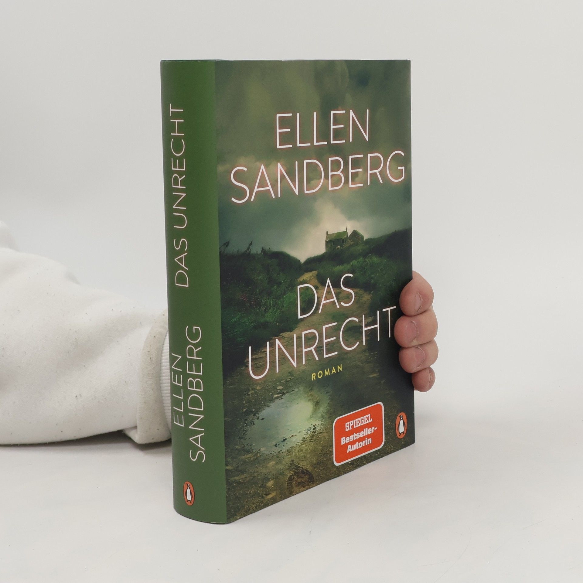 Ellen Sandberg Das Unrecht