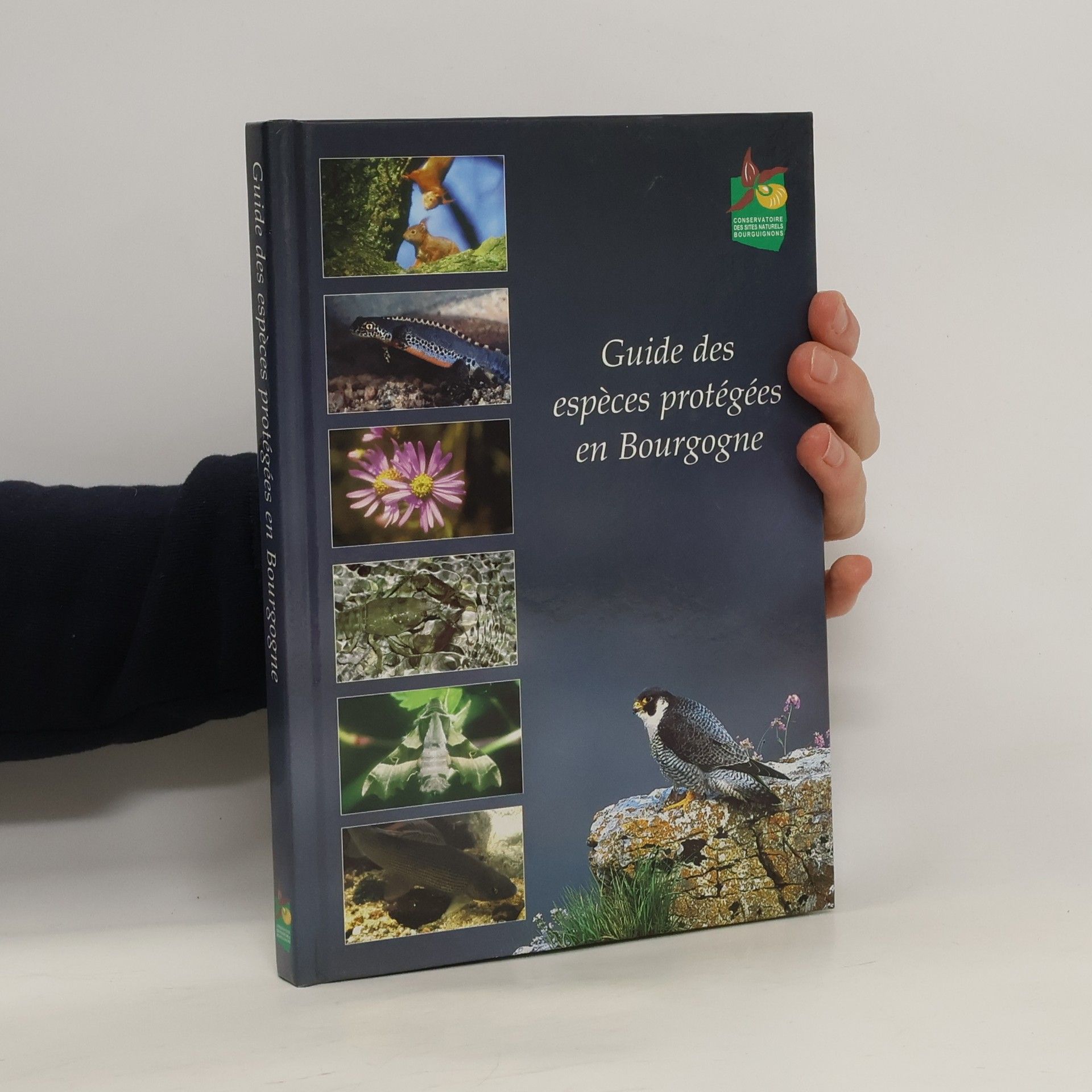 Collectif d'auteurs Guide des espèces protégées en Bourgogne
