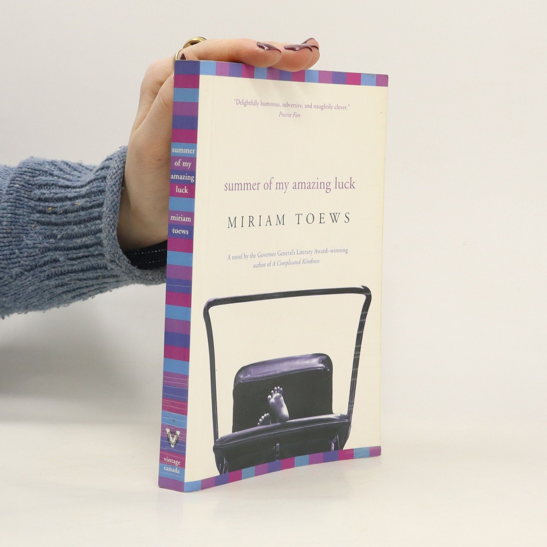 Miriam Toews Summer of My Amazing Luck