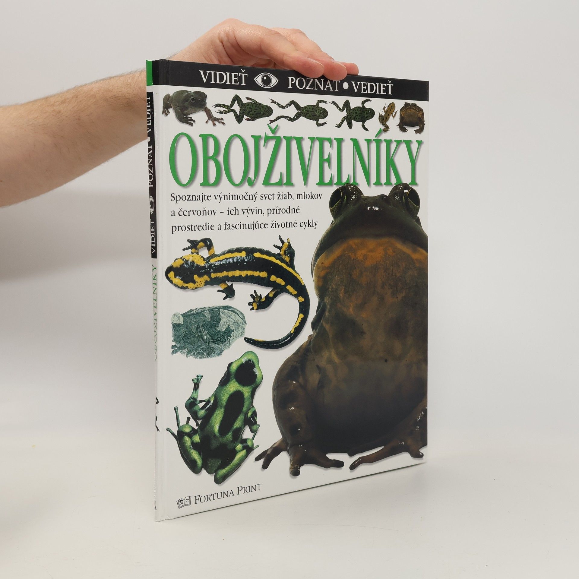 Barry Clarke Obojživelníky