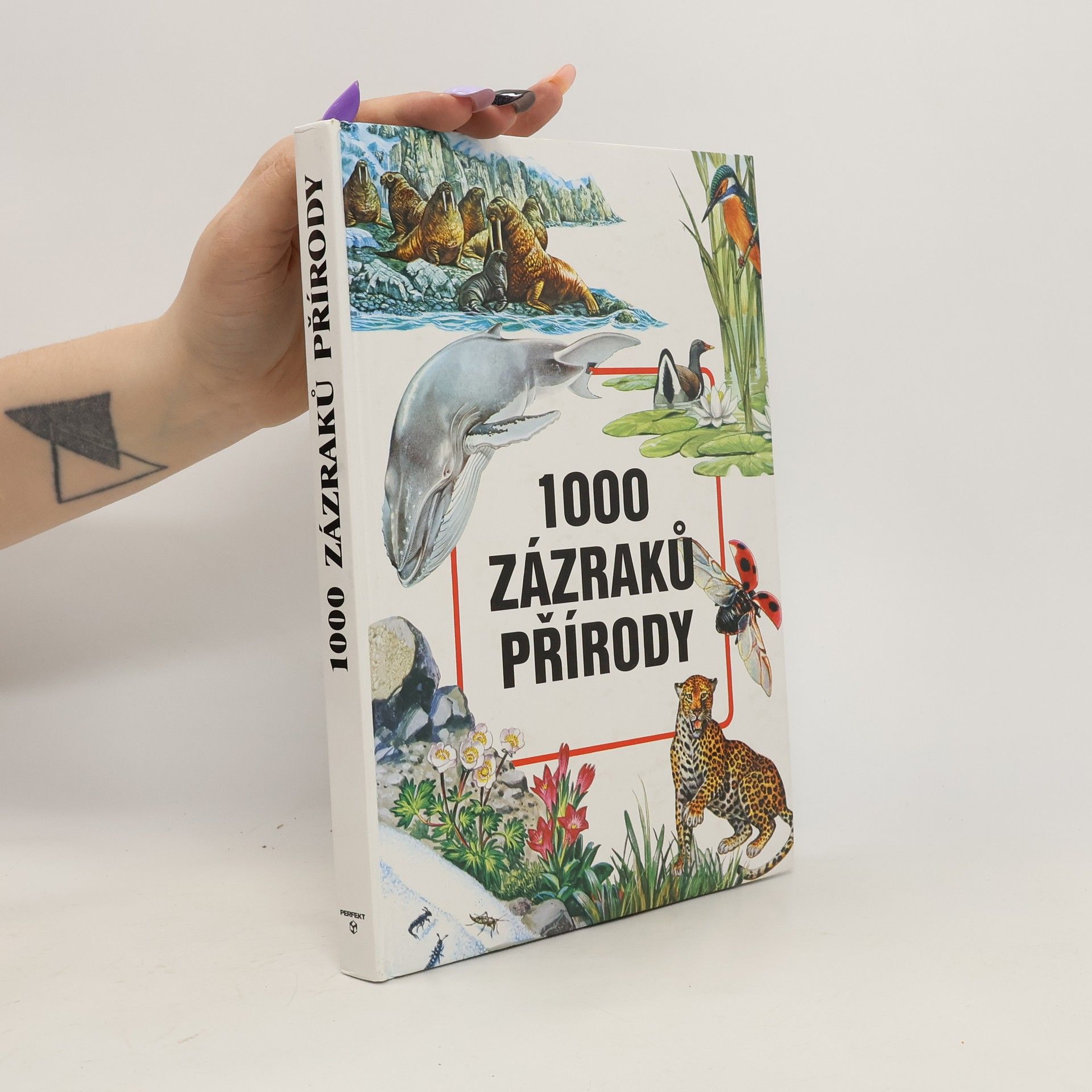 Evžen Kůs 1000 zázraků přírody