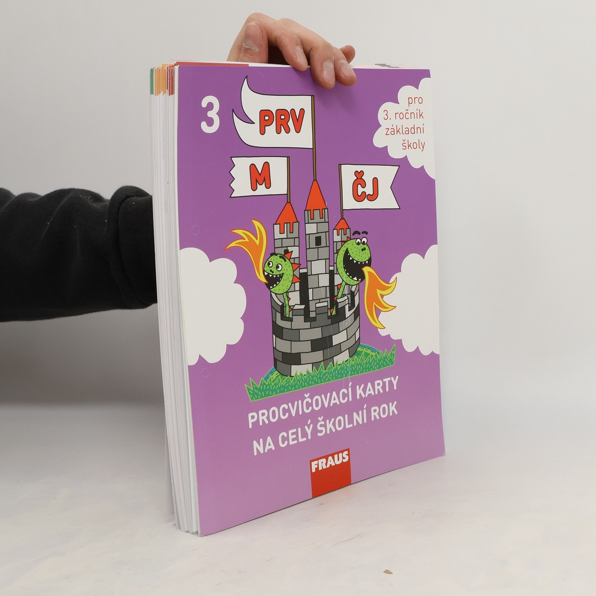 Collectif d'auteurs Procvičovací karty na celý školní rok 3