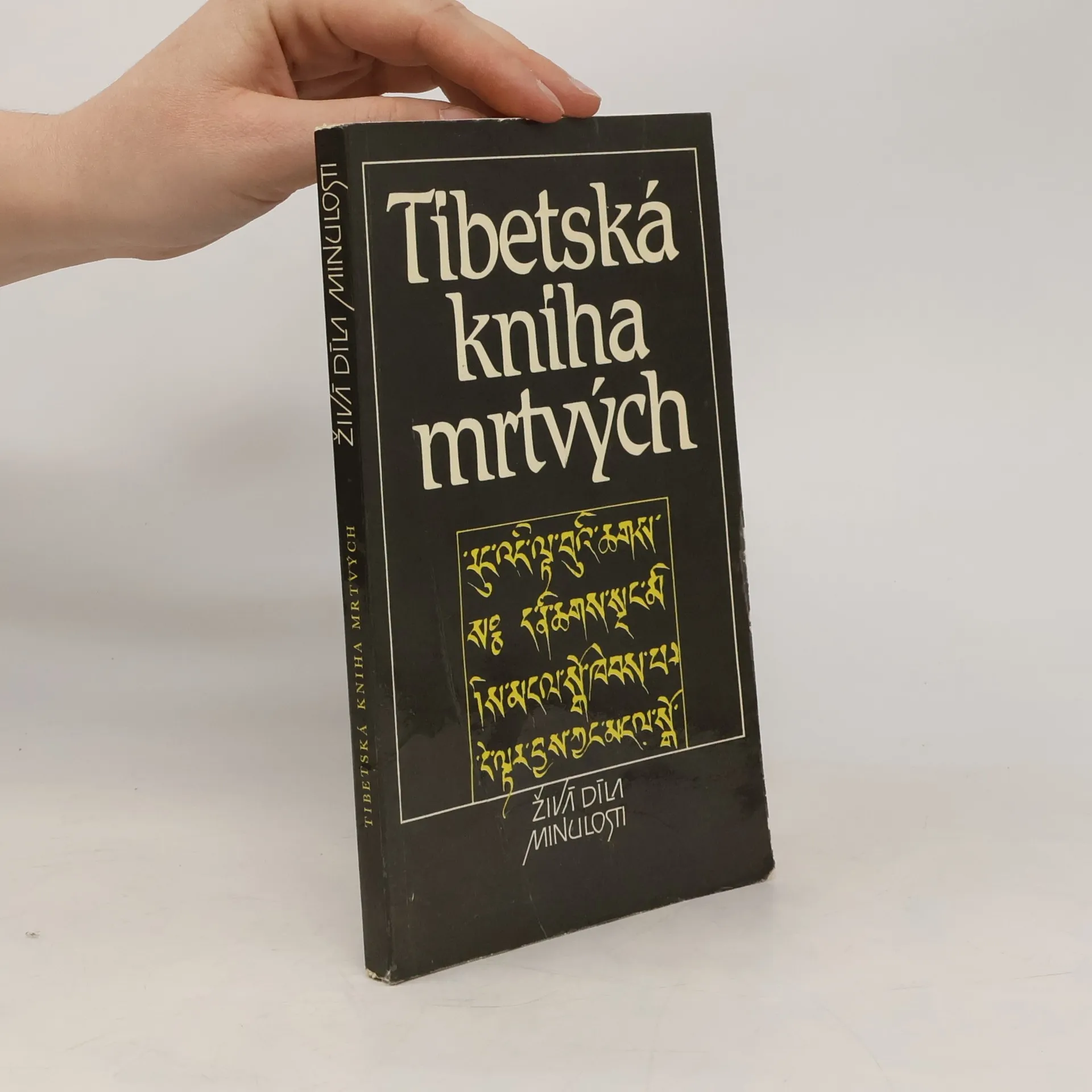 Tibetská kniha mrtvých | Kniha | mäkká | kolektiv | CS