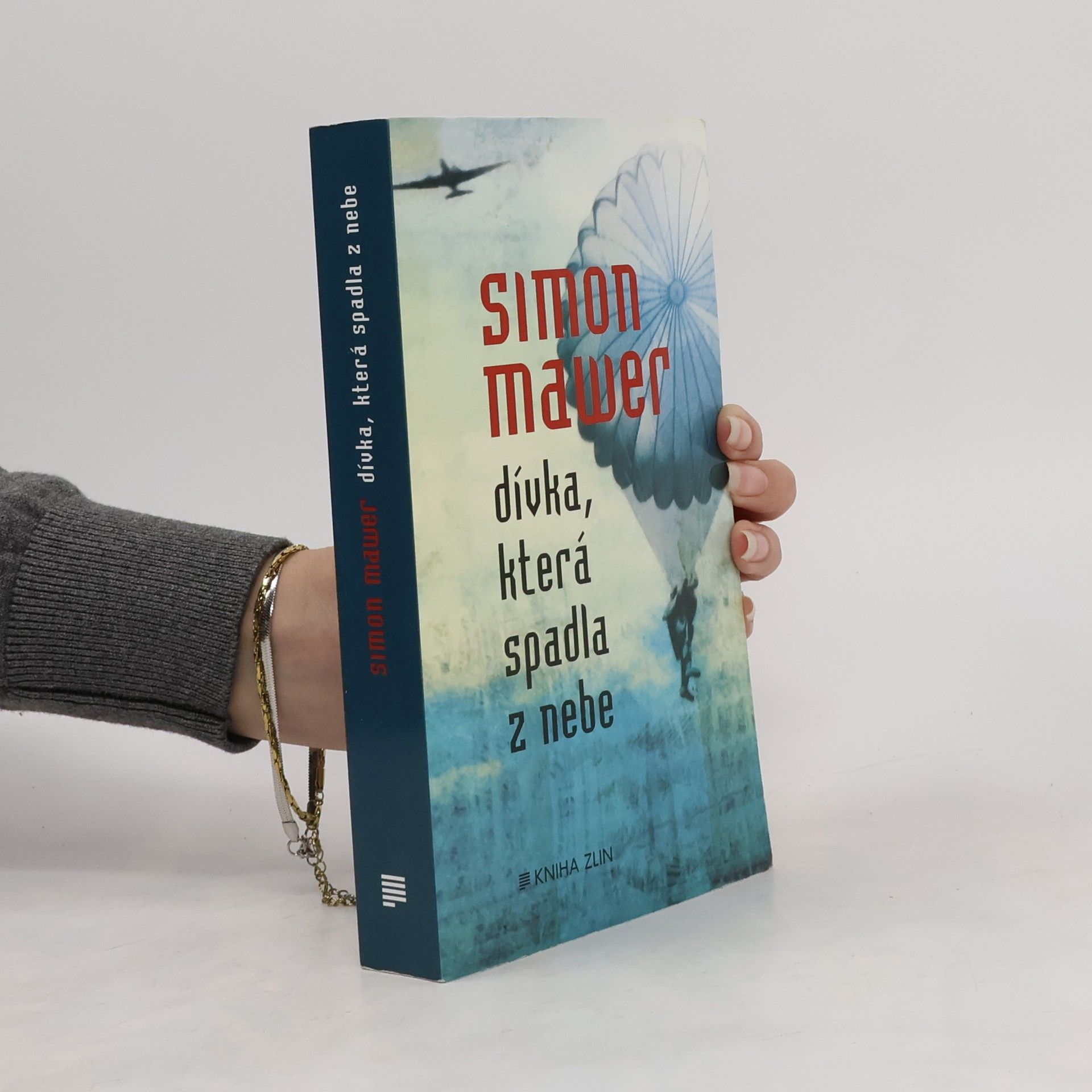 Simon Mawer Dívka, která spadla z nebe