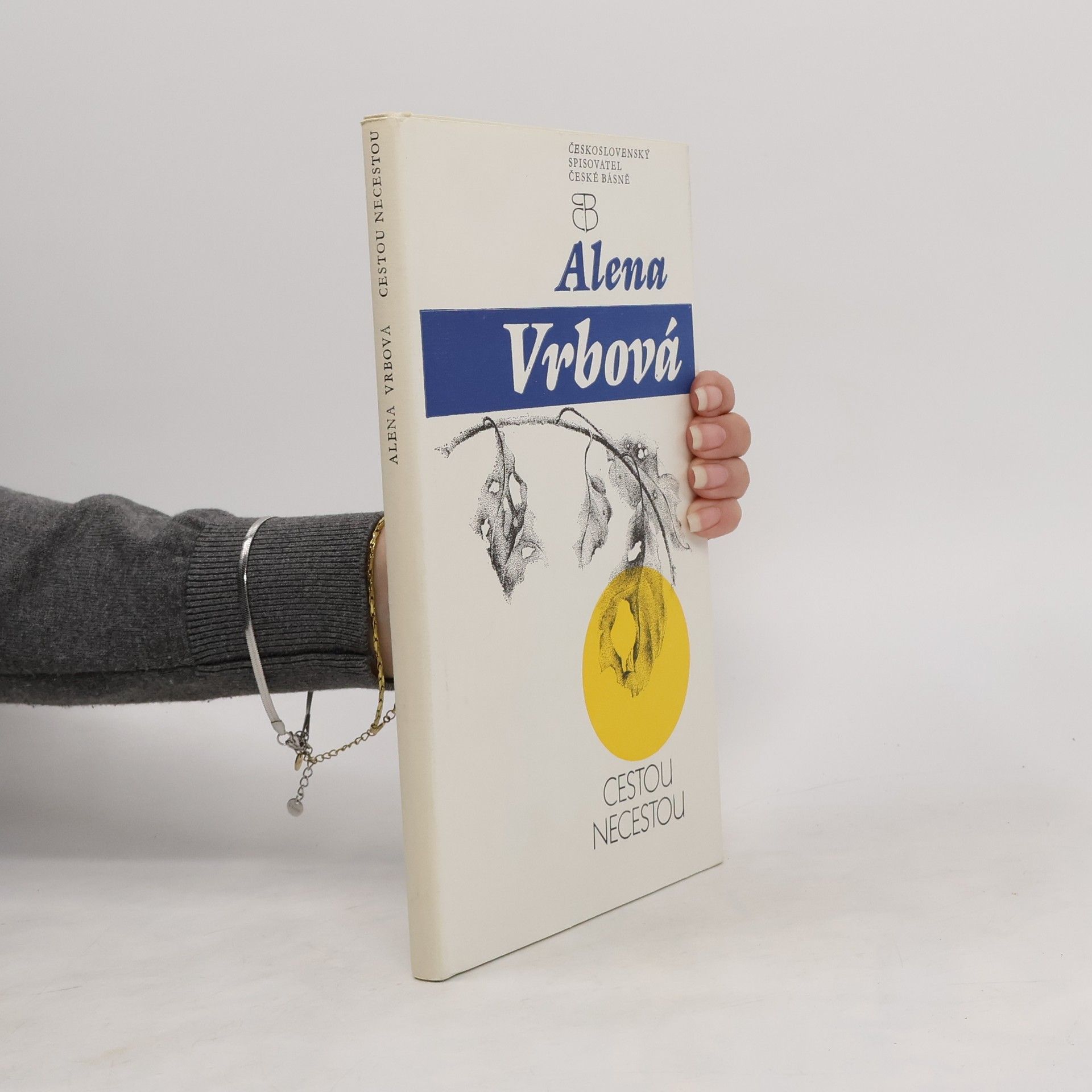 Vrbová Alena Cestou necestou