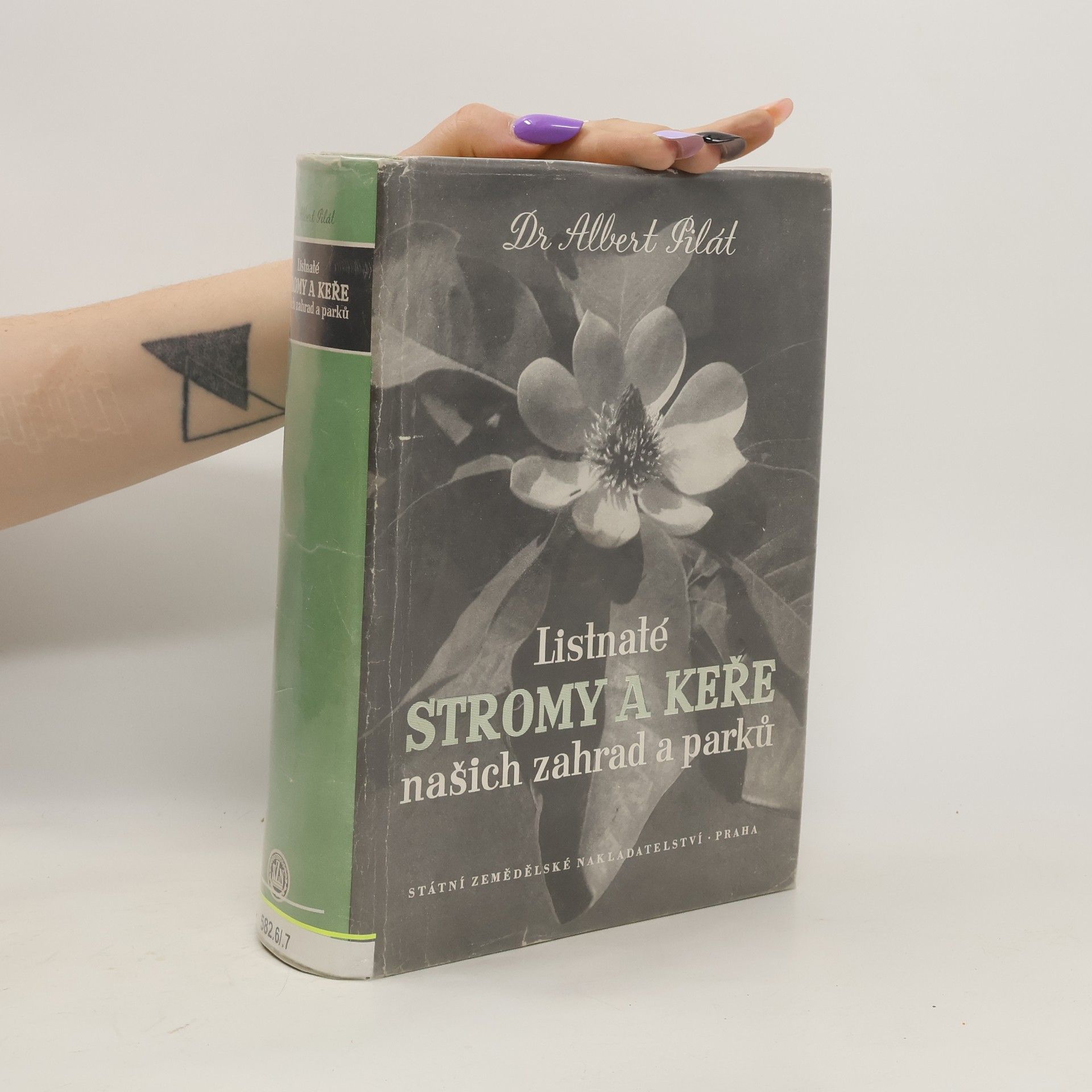 Albert Pilát Listnaté stromy a keře našich zahrad a parků