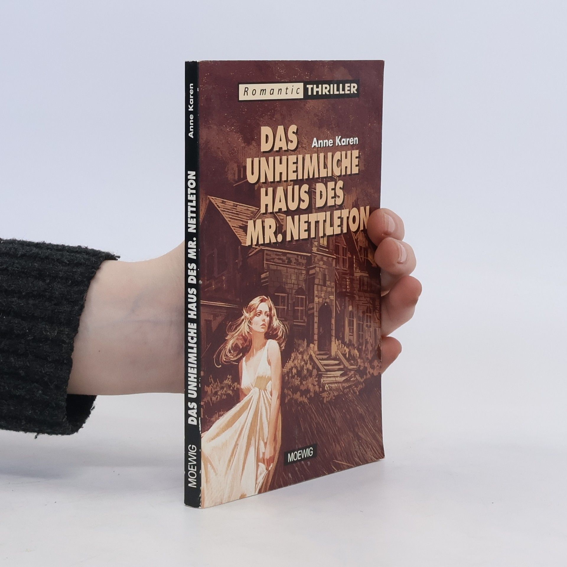 Anne Karen Das unheimliche Haus des Mr. Nettleton