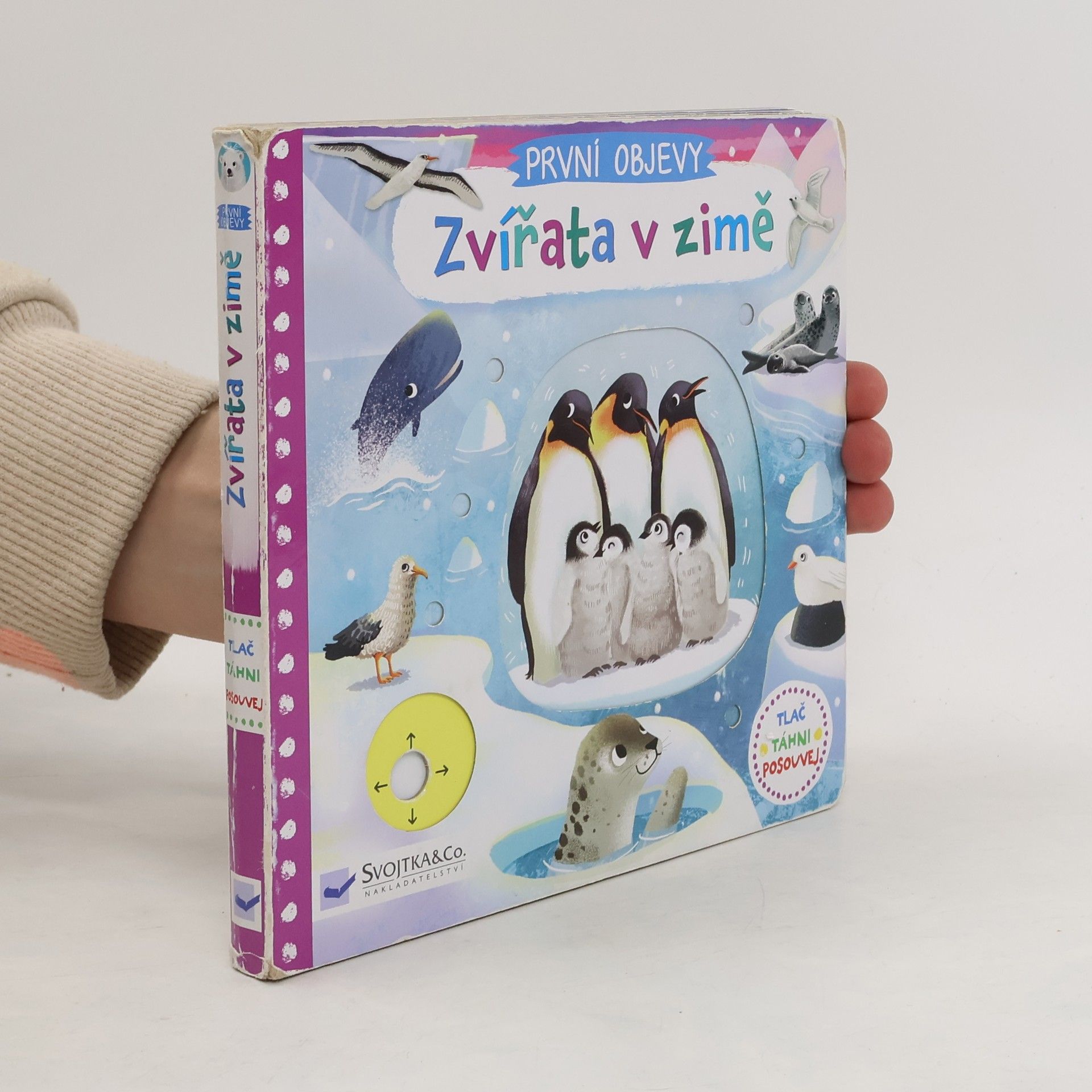 Jenny Wren První objevy: Zvířata v zimě