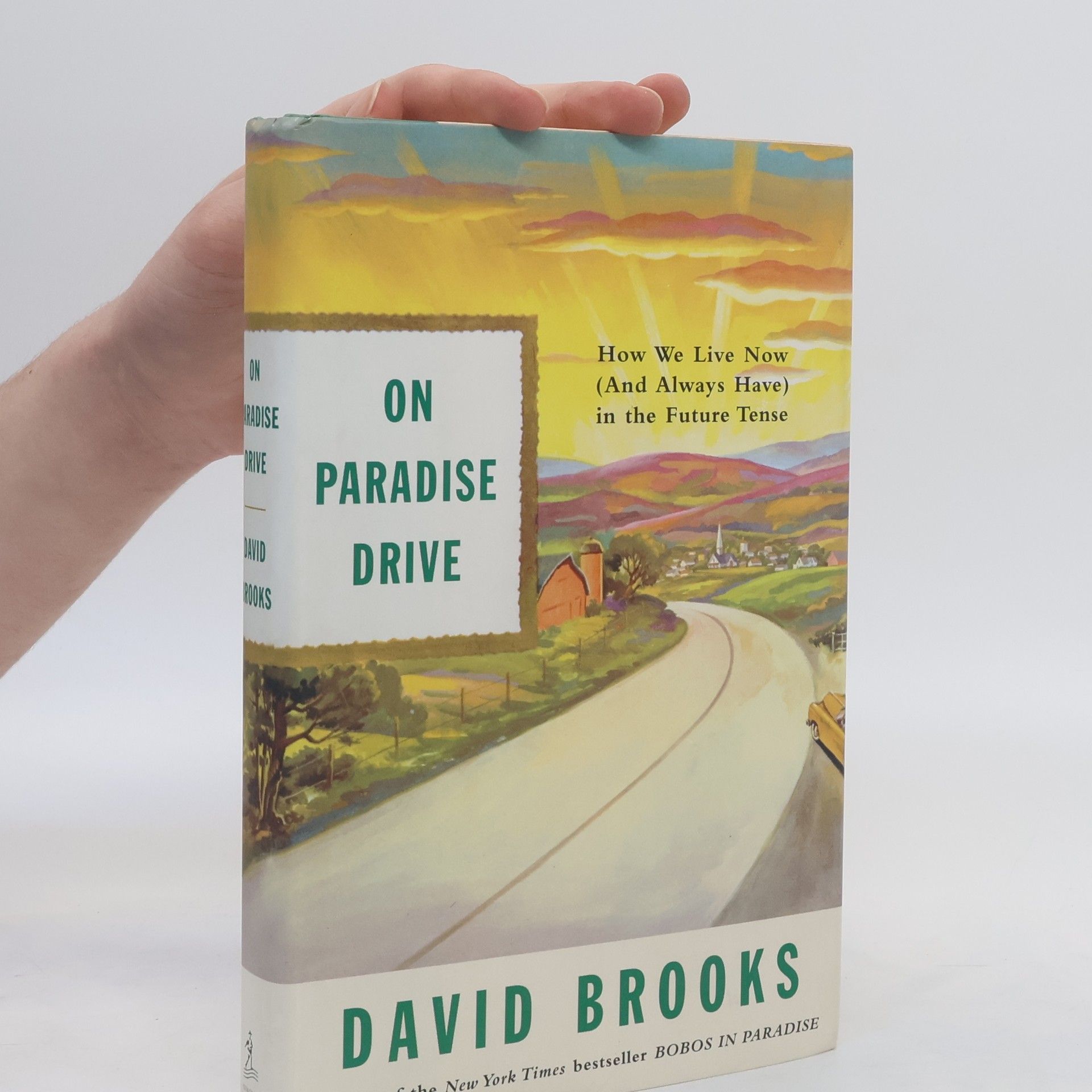 David Brooks On Paradise Drive