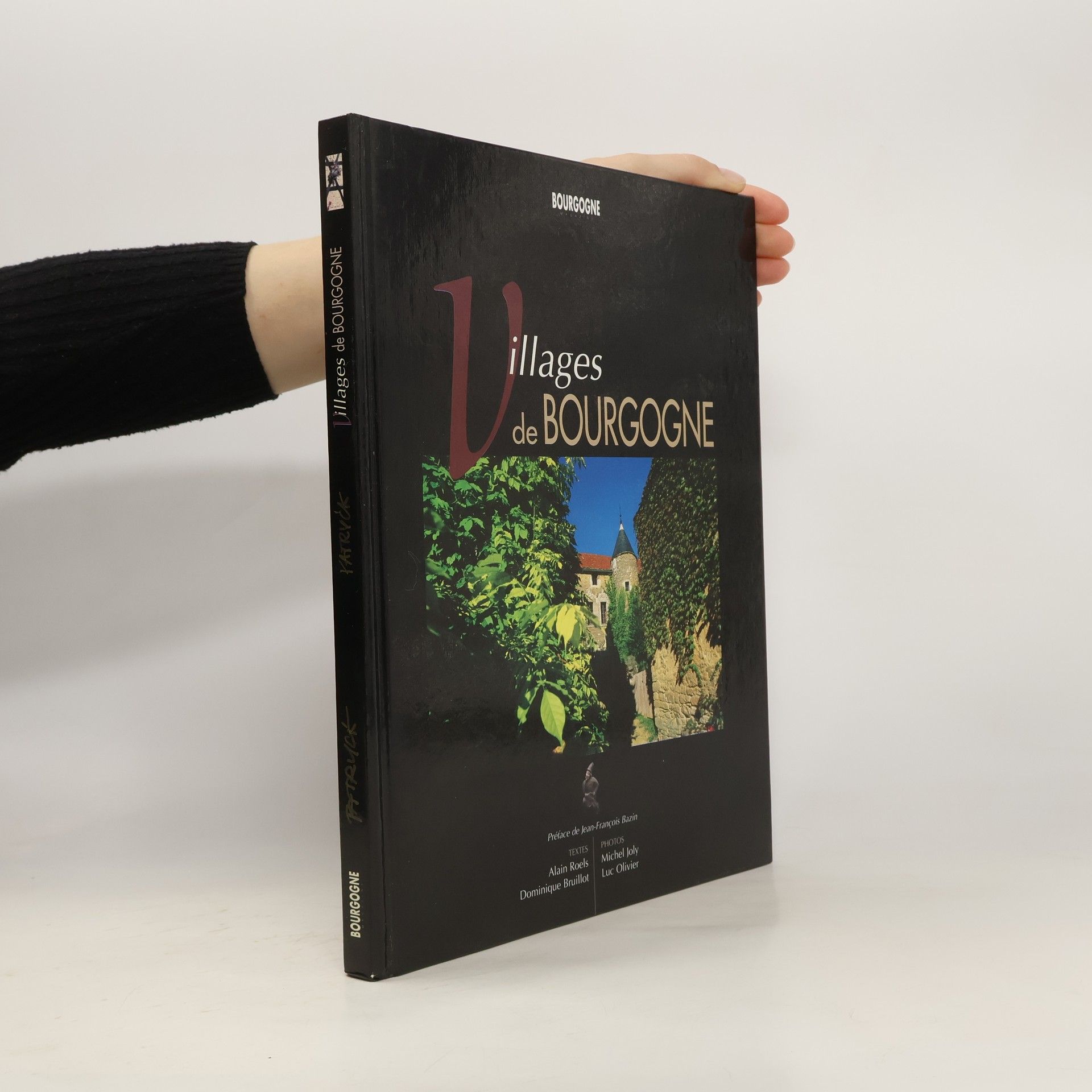 Dominique Bruillot Villages de Bourgogne
