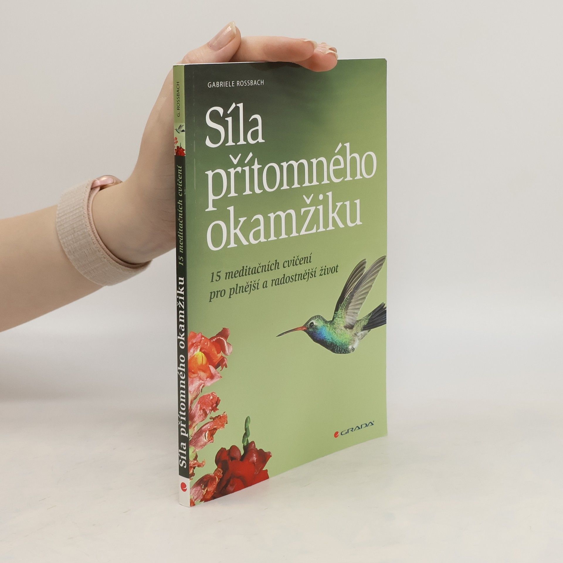 Gaby Rossbach Síla přítomného okamžiku