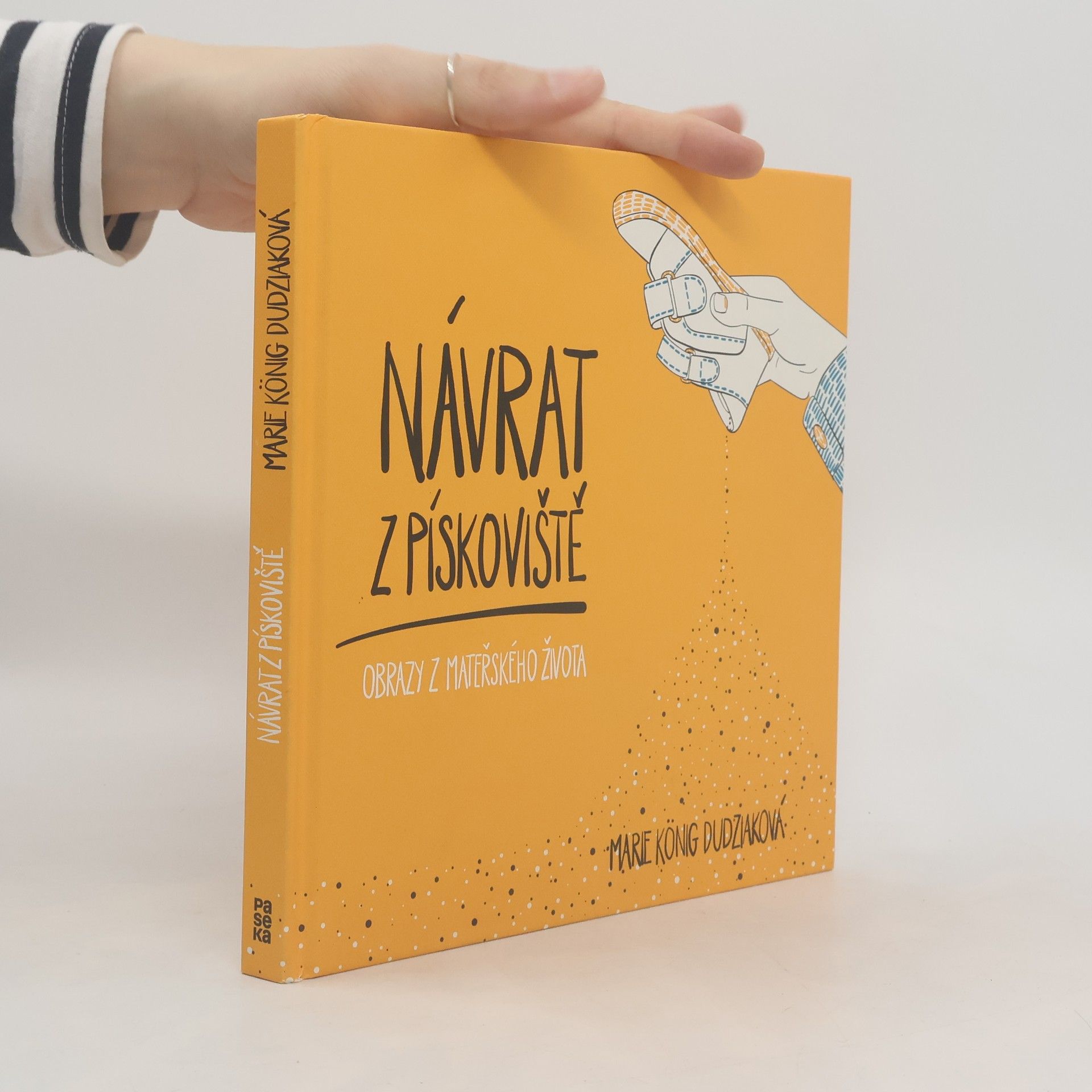 Marie König Dudziaková Návrat z pískoviště : obrazy z mateřského života