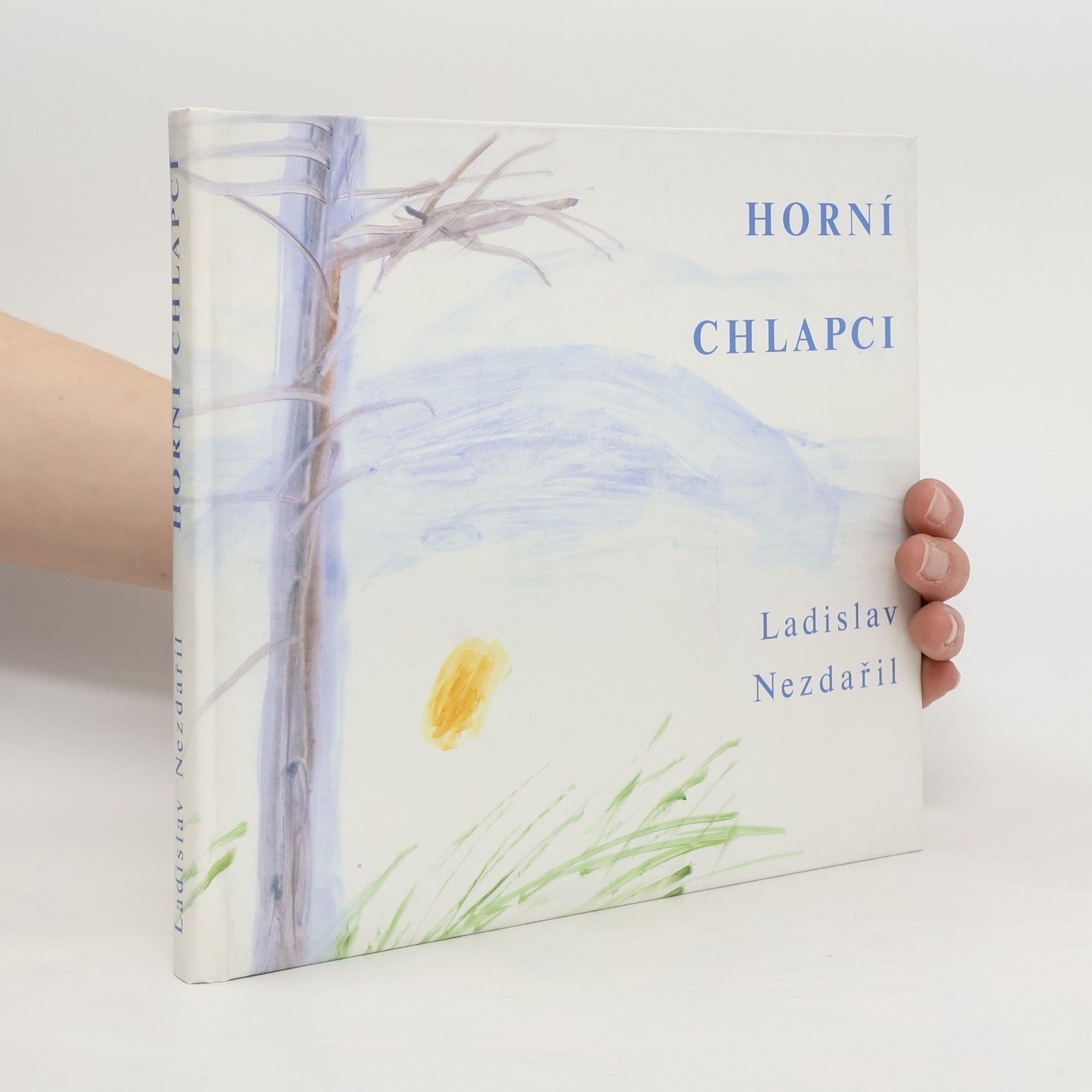 Ladislav Nezdařil Horní chlapci