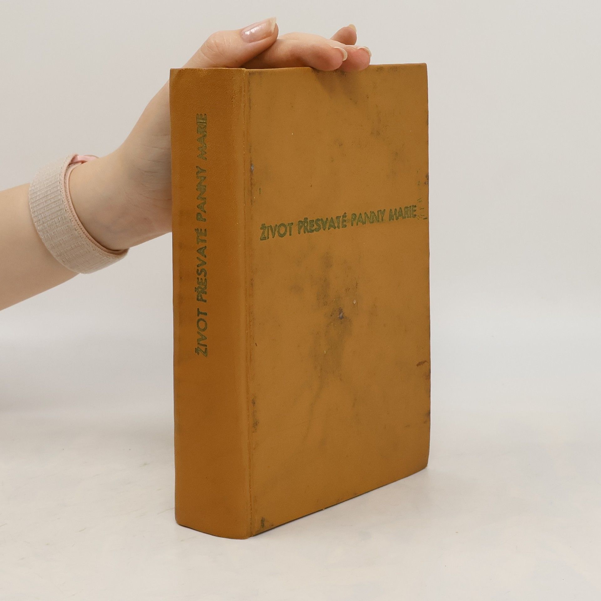 Kolektiv autorů Život přesvaté Panny Marie