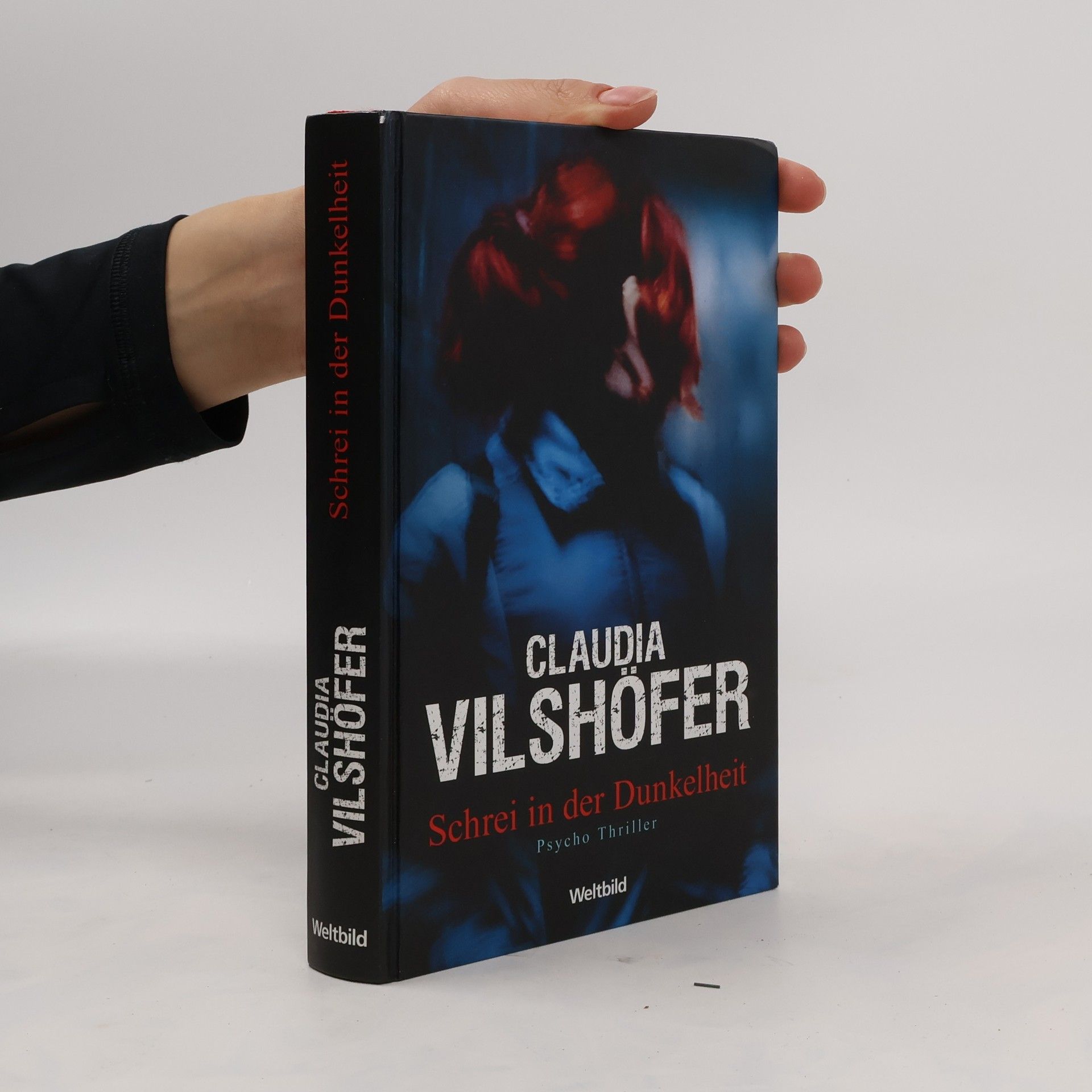 Claudia Vilshöfer Schrei in der Dunkelheit