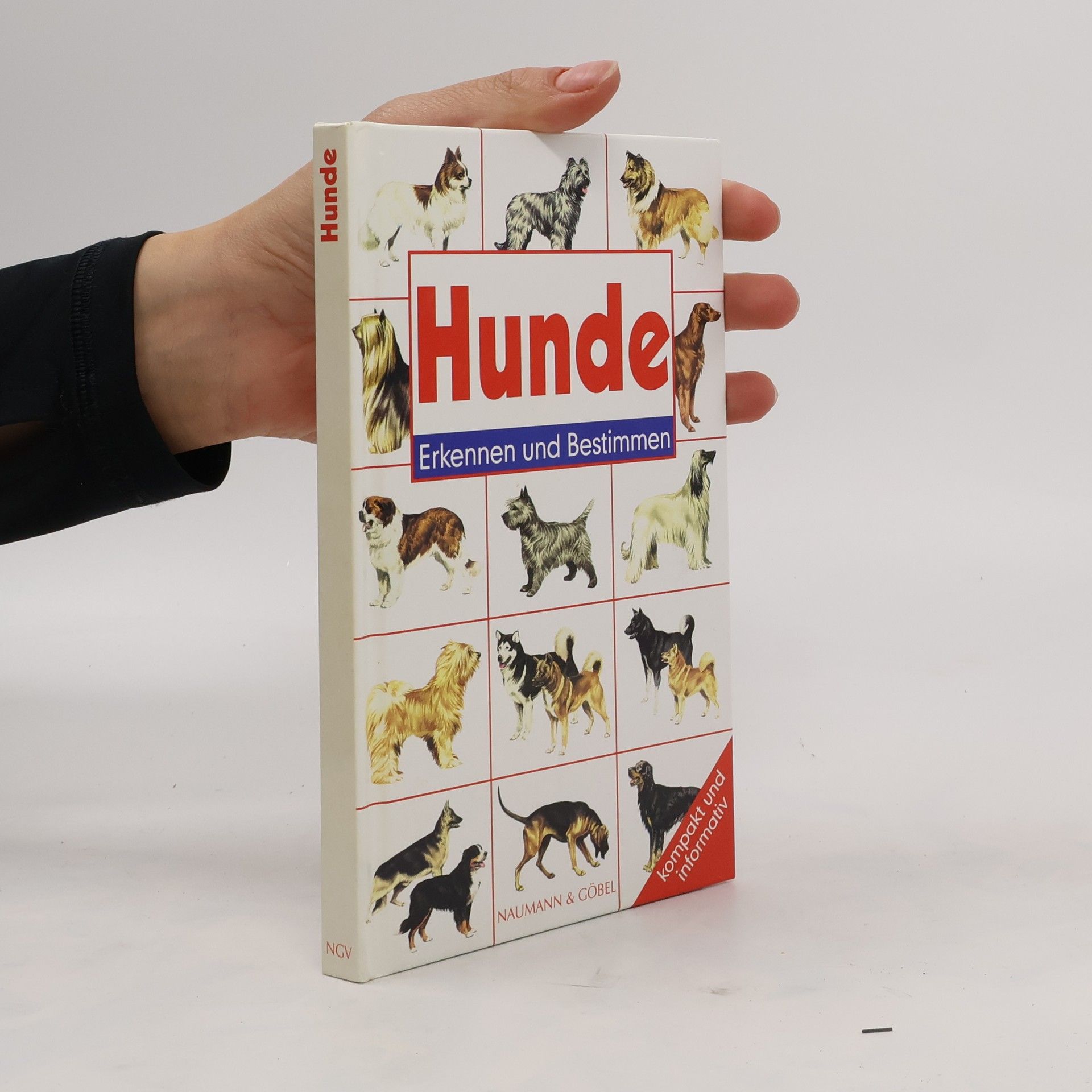 Wendy Boorer Hunde