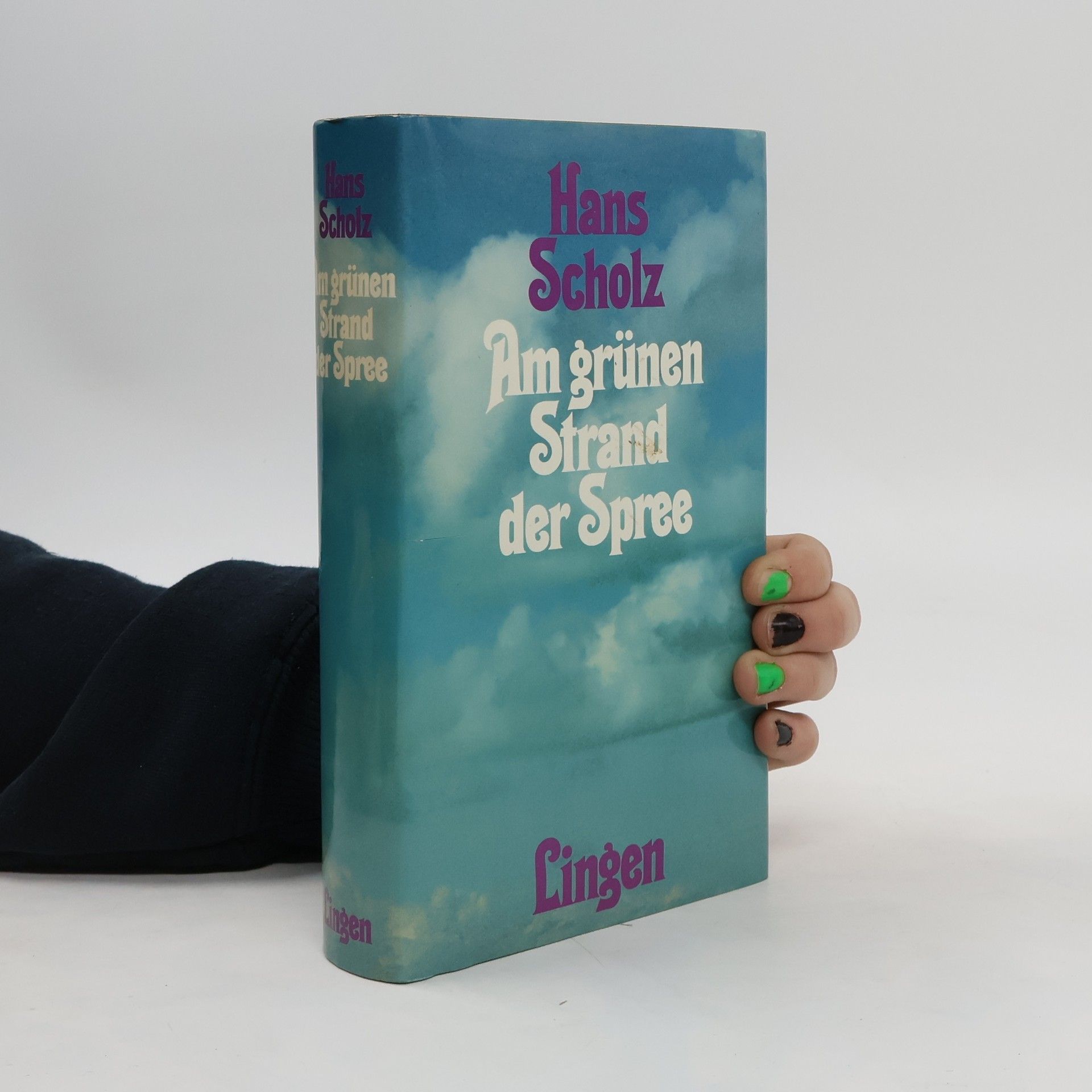 Hans Scholz Am grünen Strand der Spree