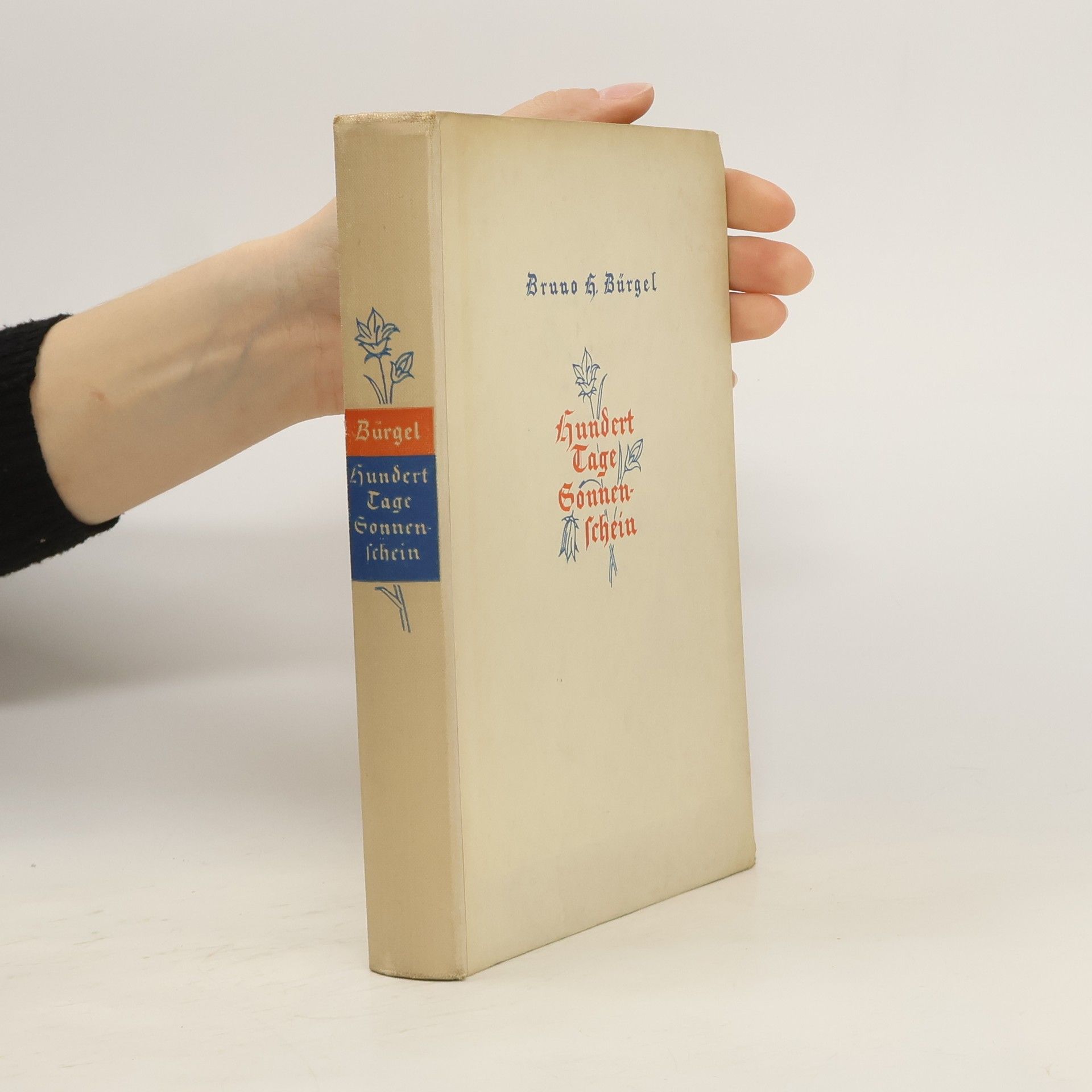 Bruno H. Bürgel  Hundert Tage Sonnenschein. Ein Buch vom Sonntag und Alltag des Lebens